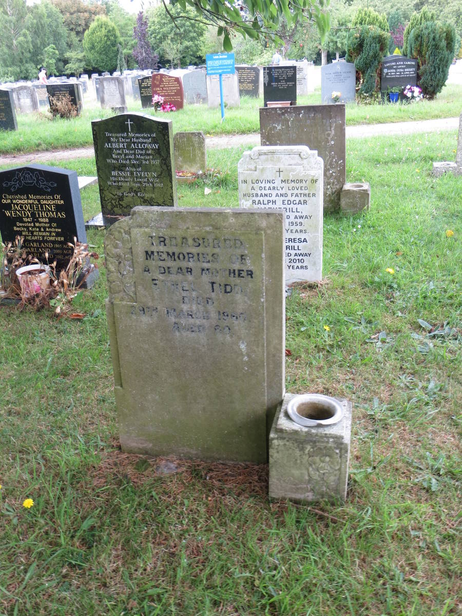 HAY-30.K2.369 (E(2)) 1