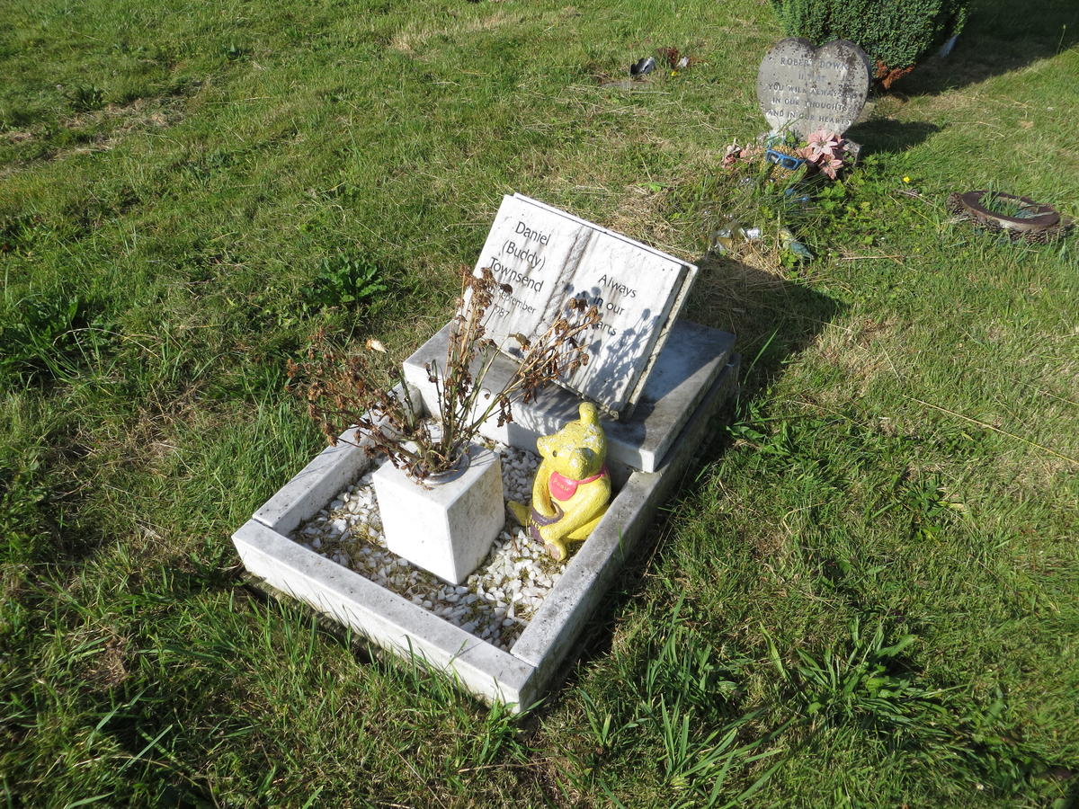 HAY-52.L.310 (D(F)) 1