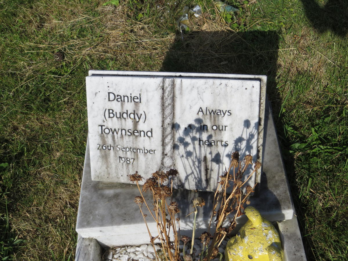 HAY-52.L.310 (D(F)) 2