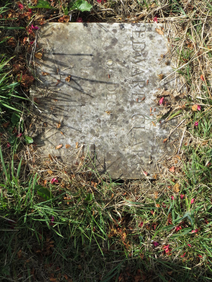 HAY-52.V.311 (D(H)) 2