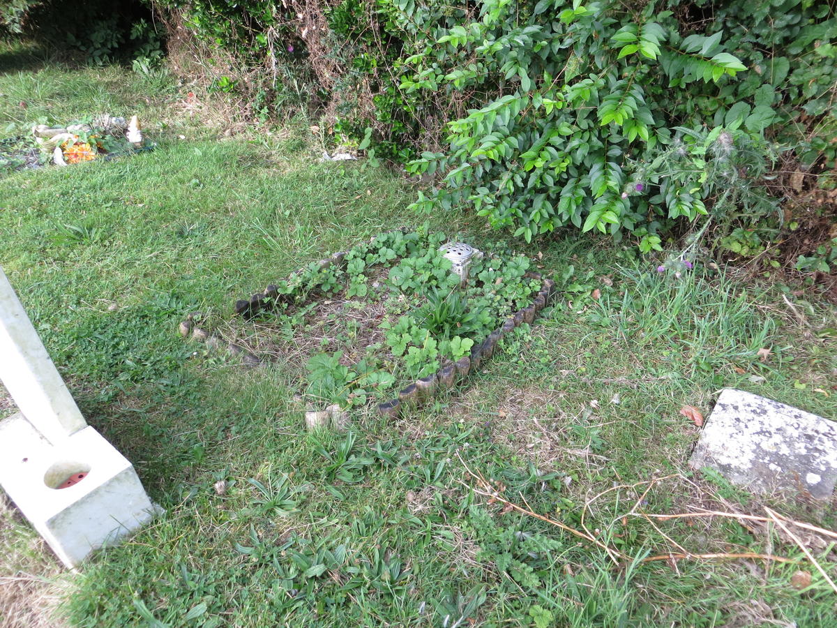 HAY-53.D.316 (D(H)) 1