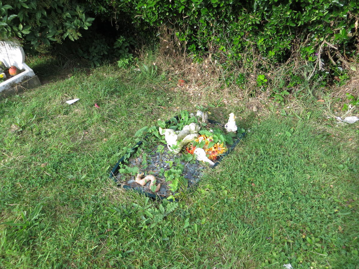 HAY-53.D.318 (D(H)) 1