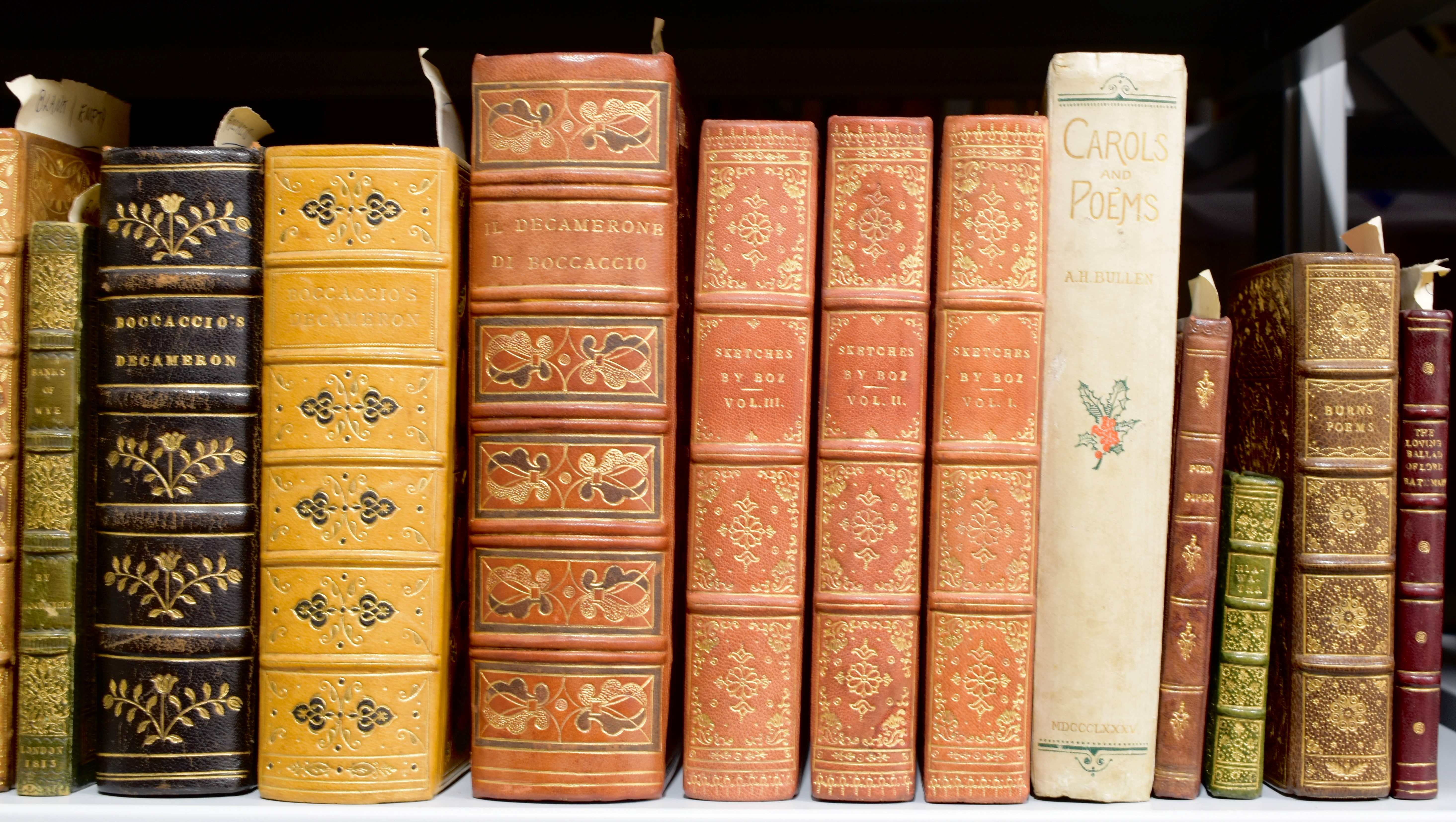 A row of books on a shelf