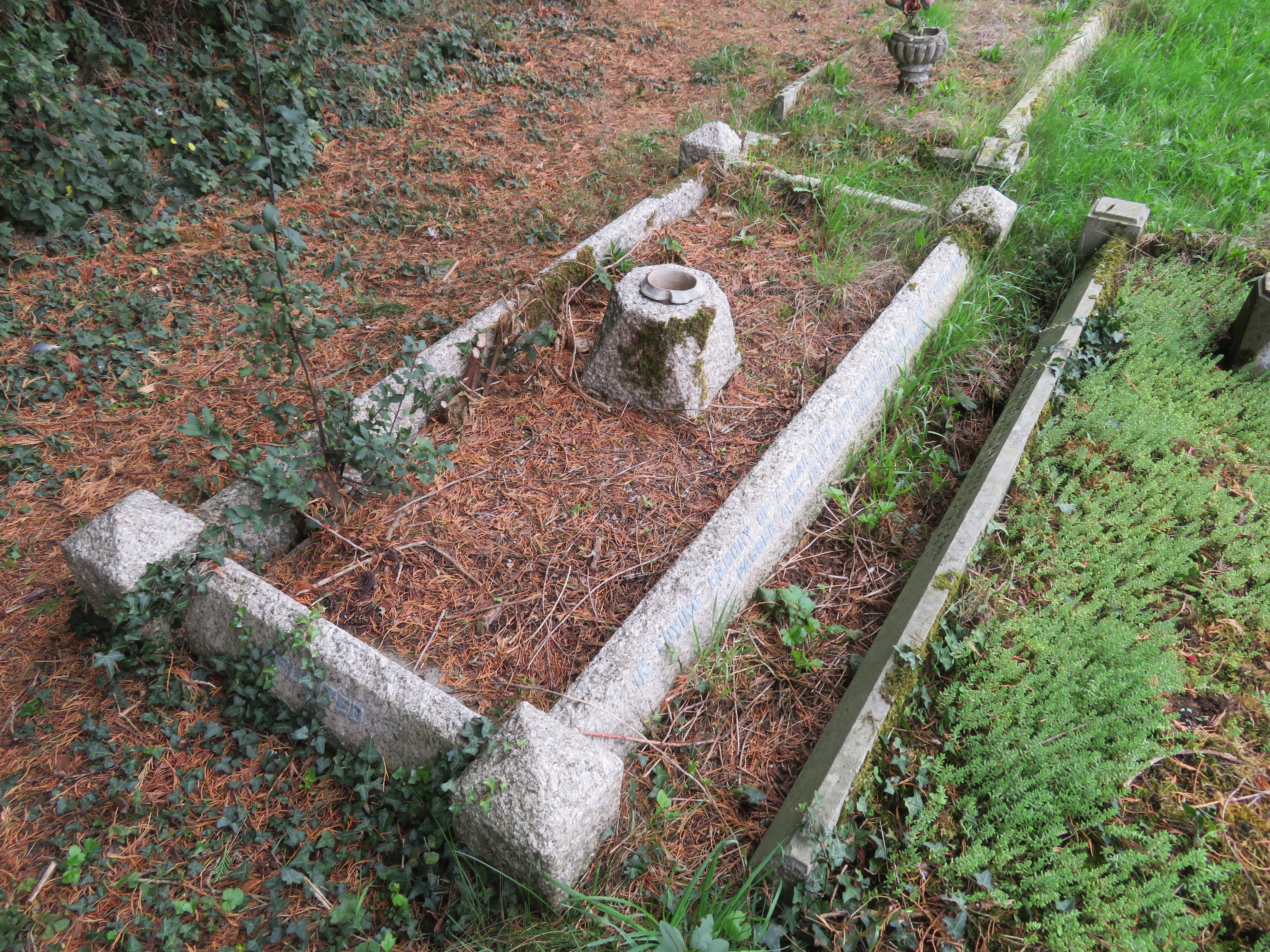 MSN-N.A.03 1 Woodland