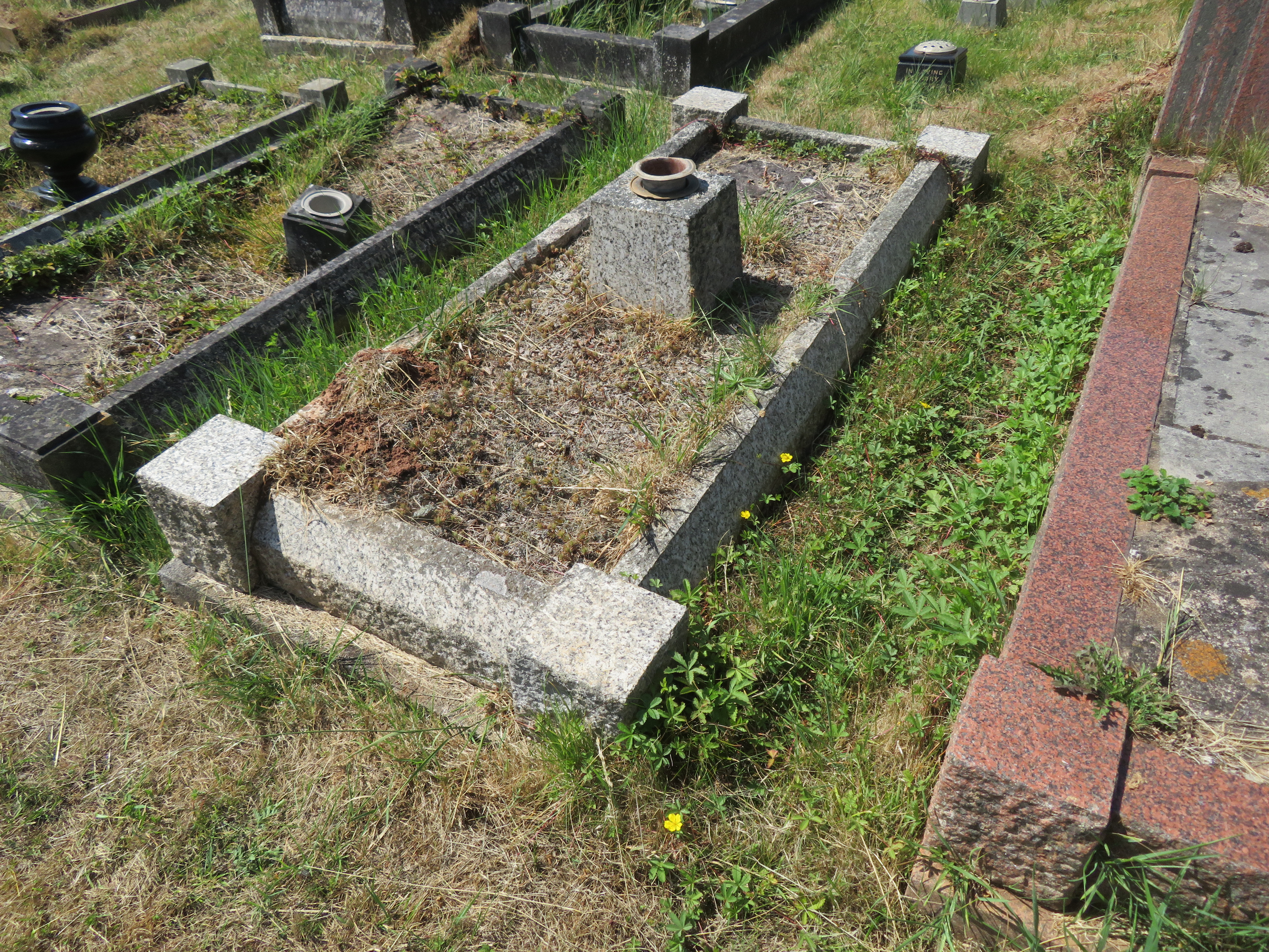 MSN-N.AA.29 1 Pugsley