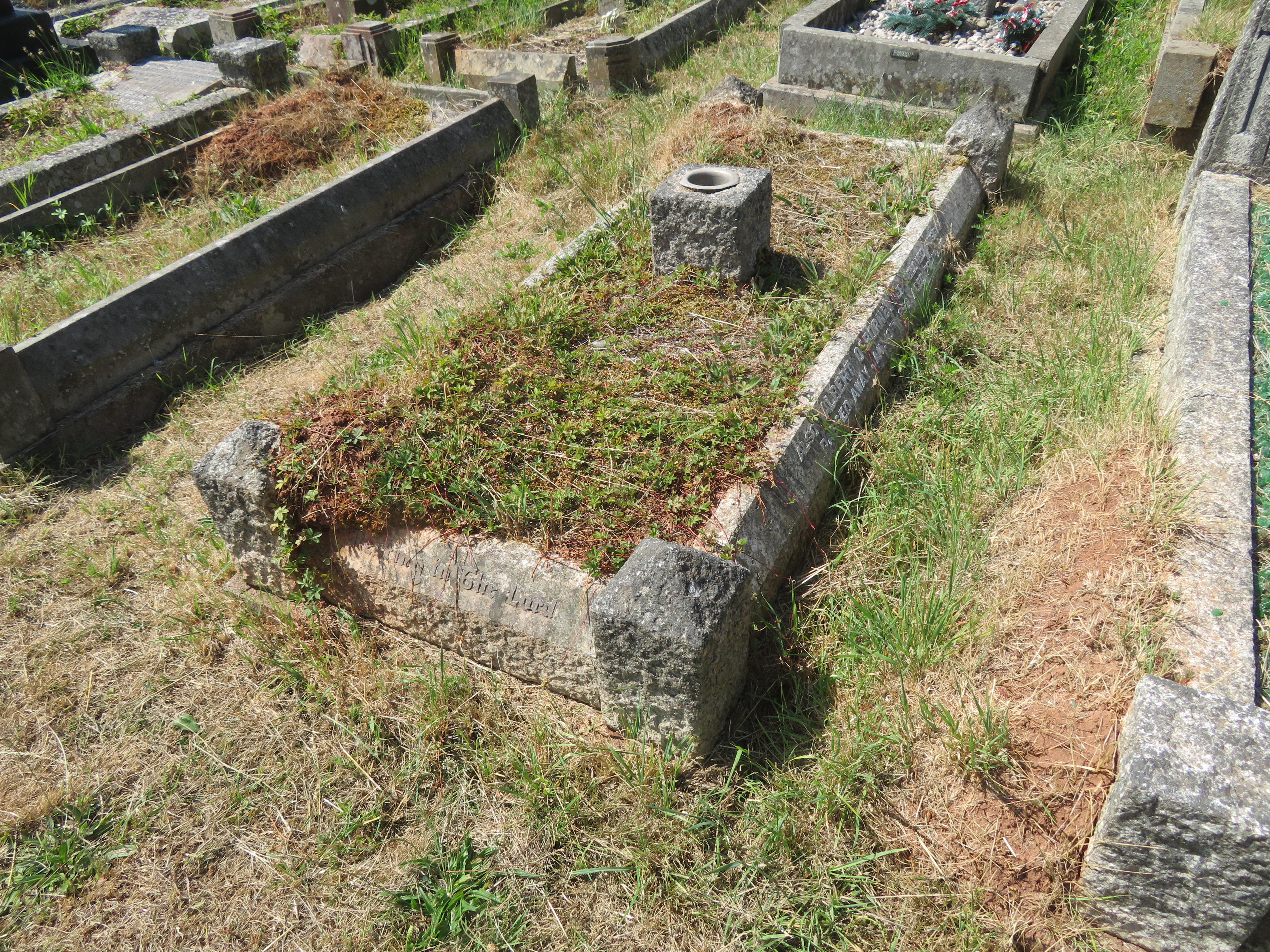 MSN-N.AA.34 1 Taylor