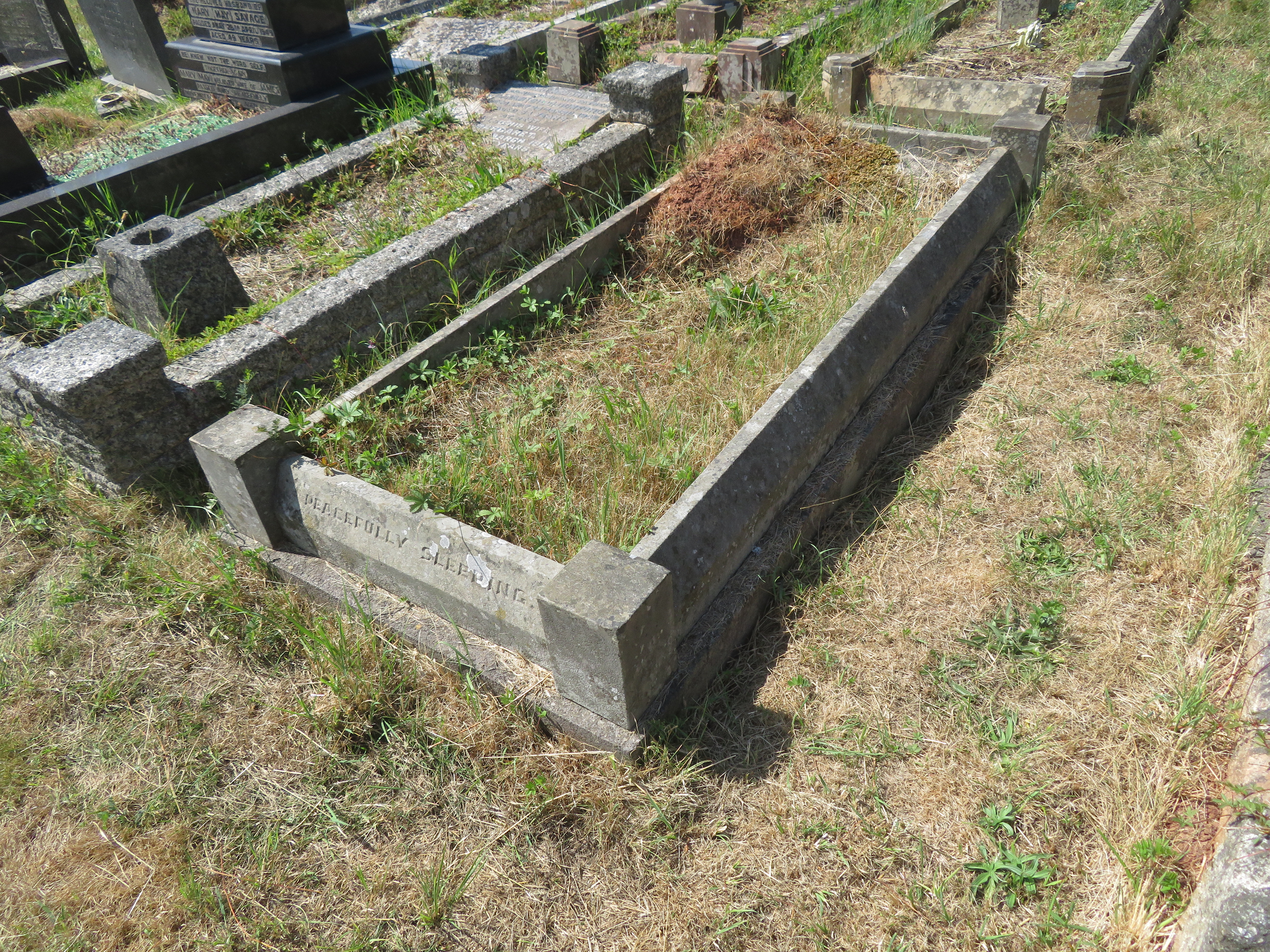 MSN-N.AA.35 1 Fisher