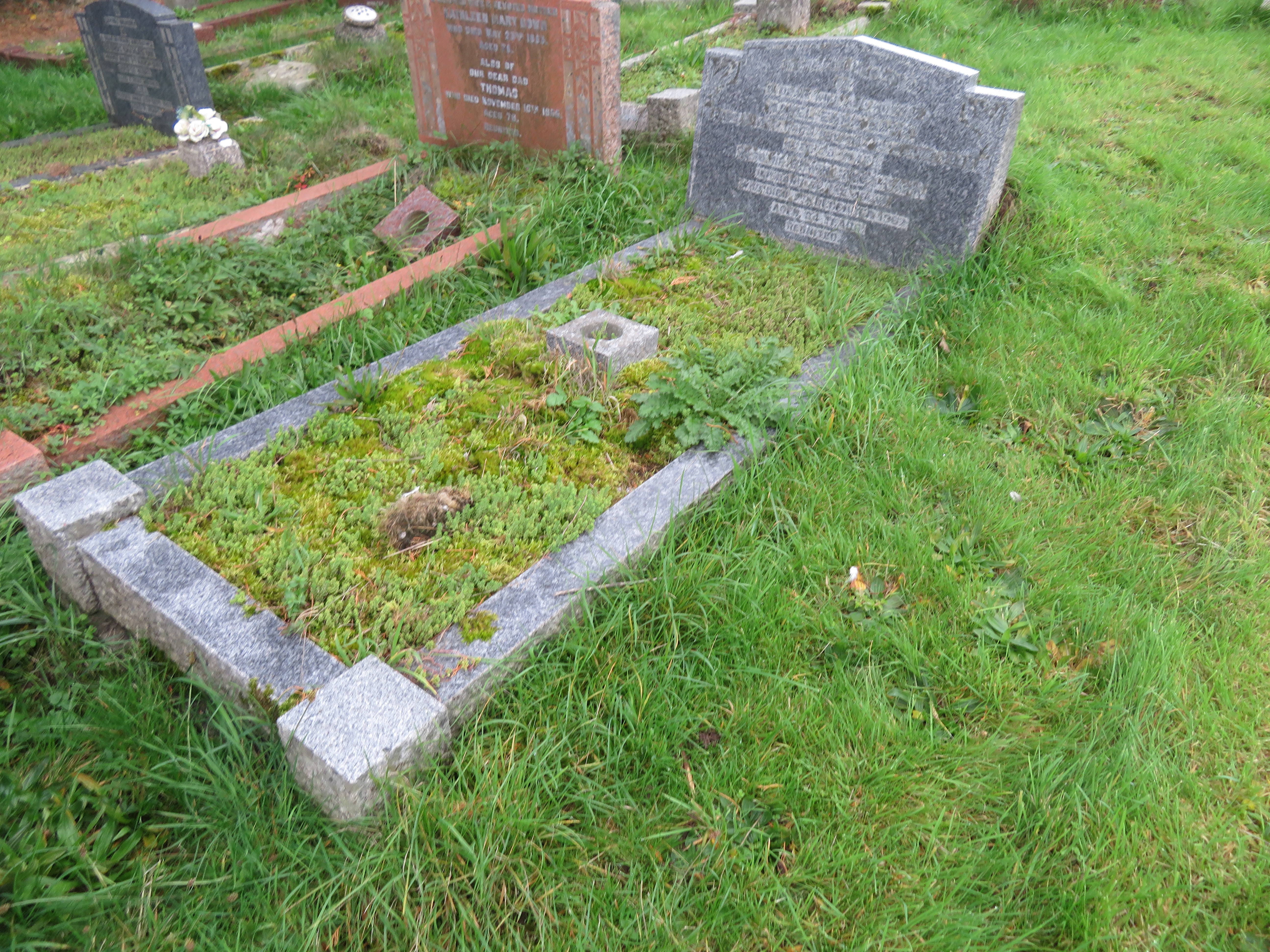 MSN-N.B.11 1 Kingman