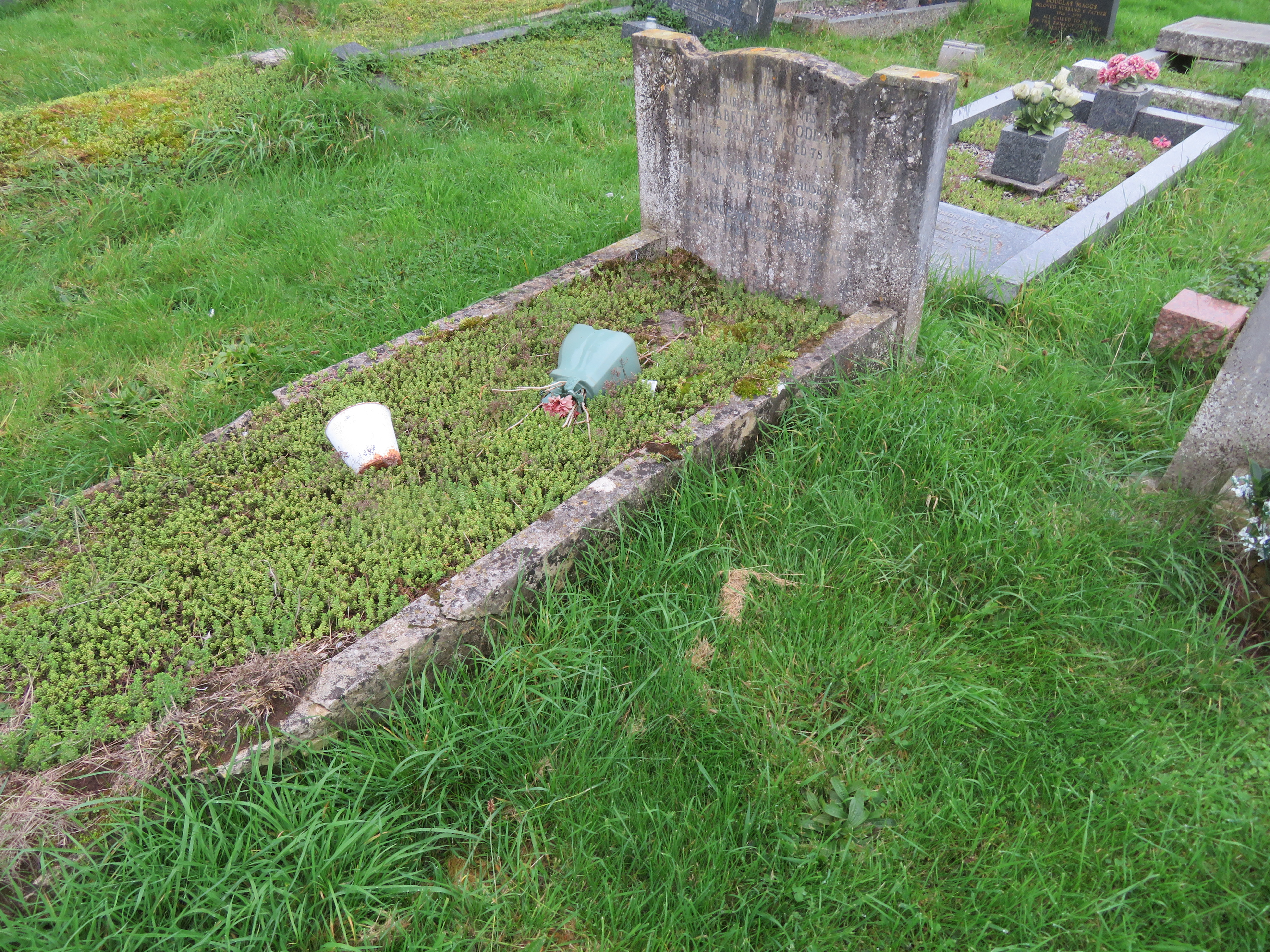 MSN-N.B.14 1 Woodland