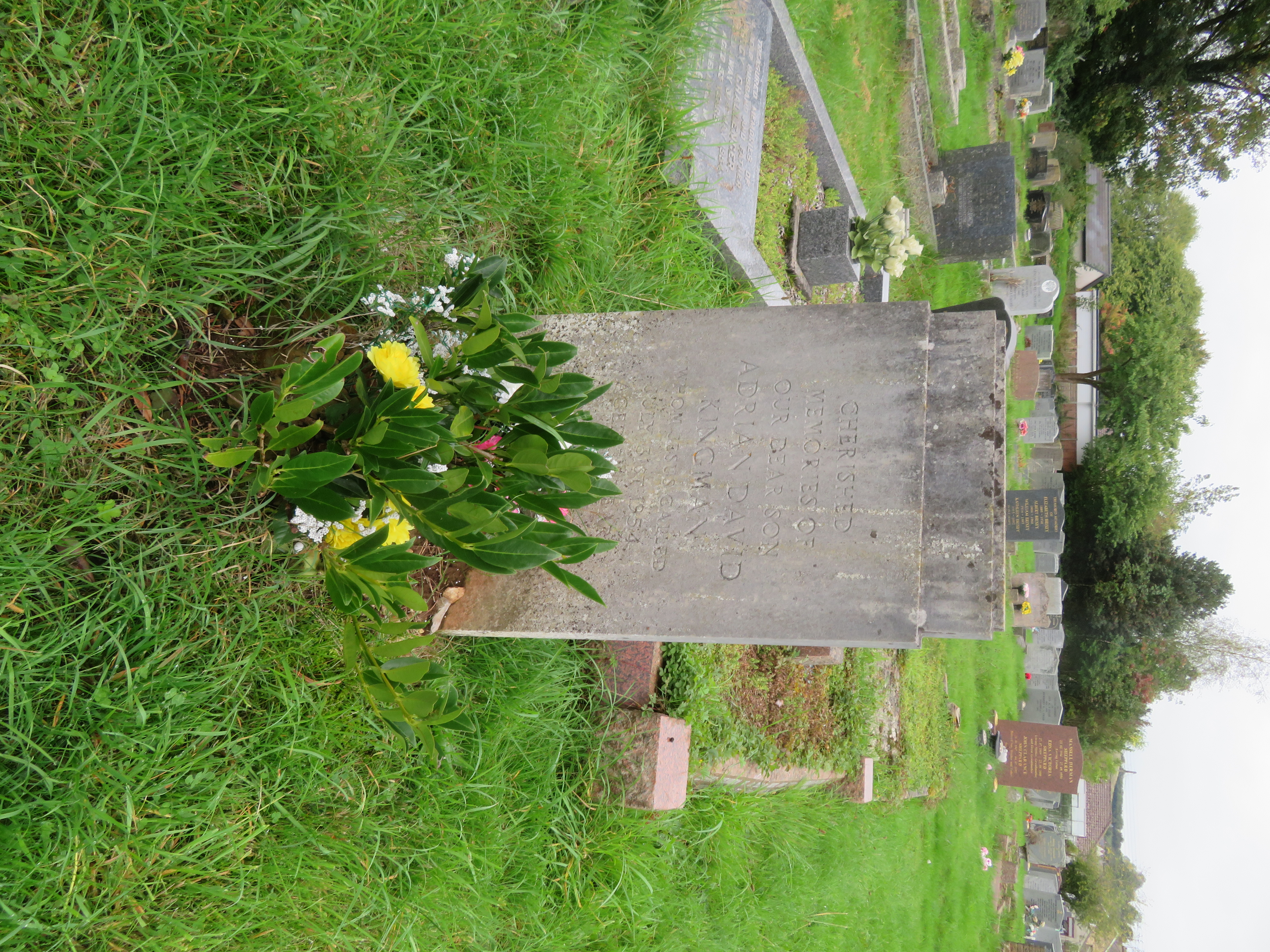 MSN-N.B.15 1 Kingman