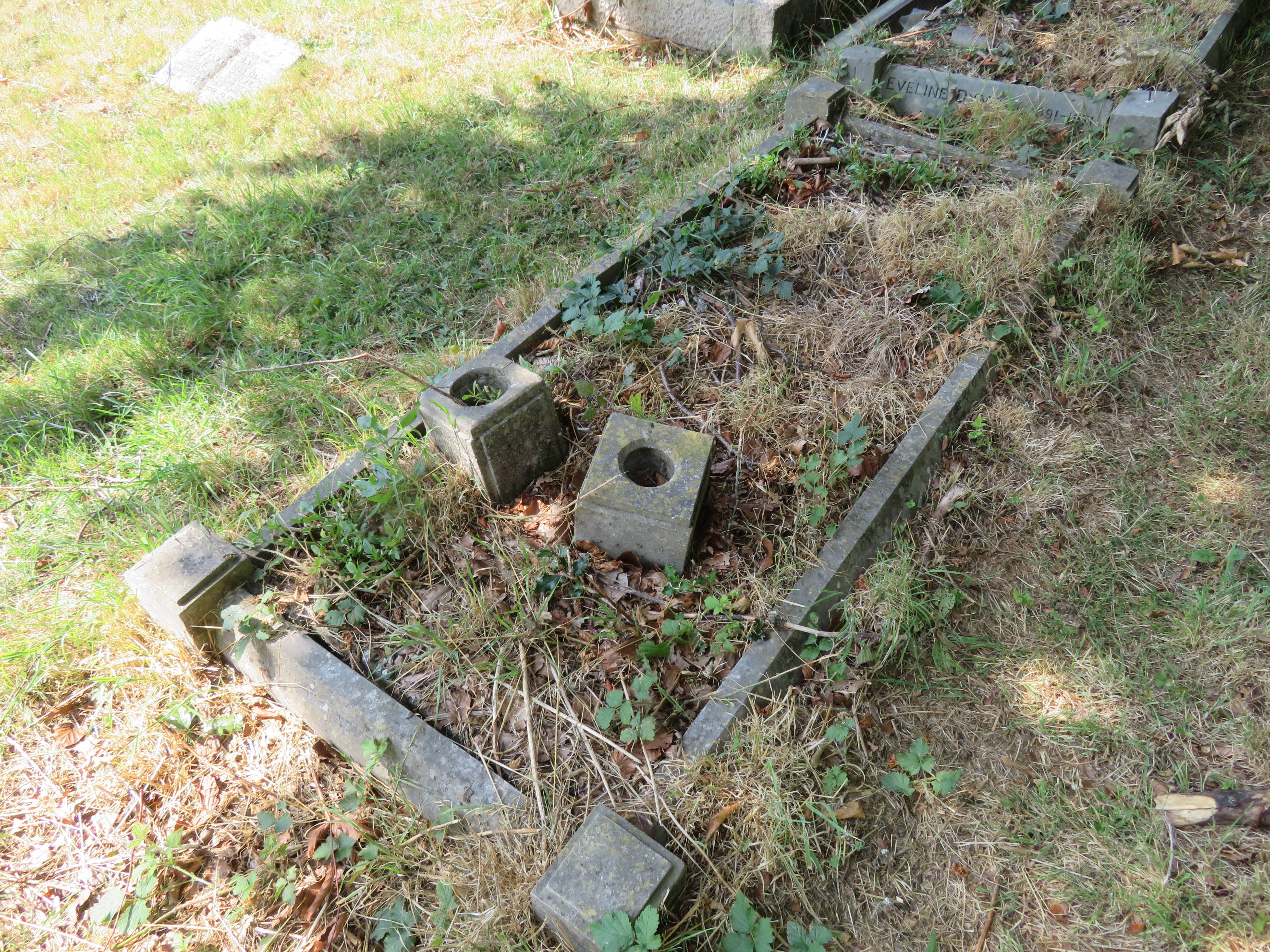 MSN-N.BB.01 1 Hamblin