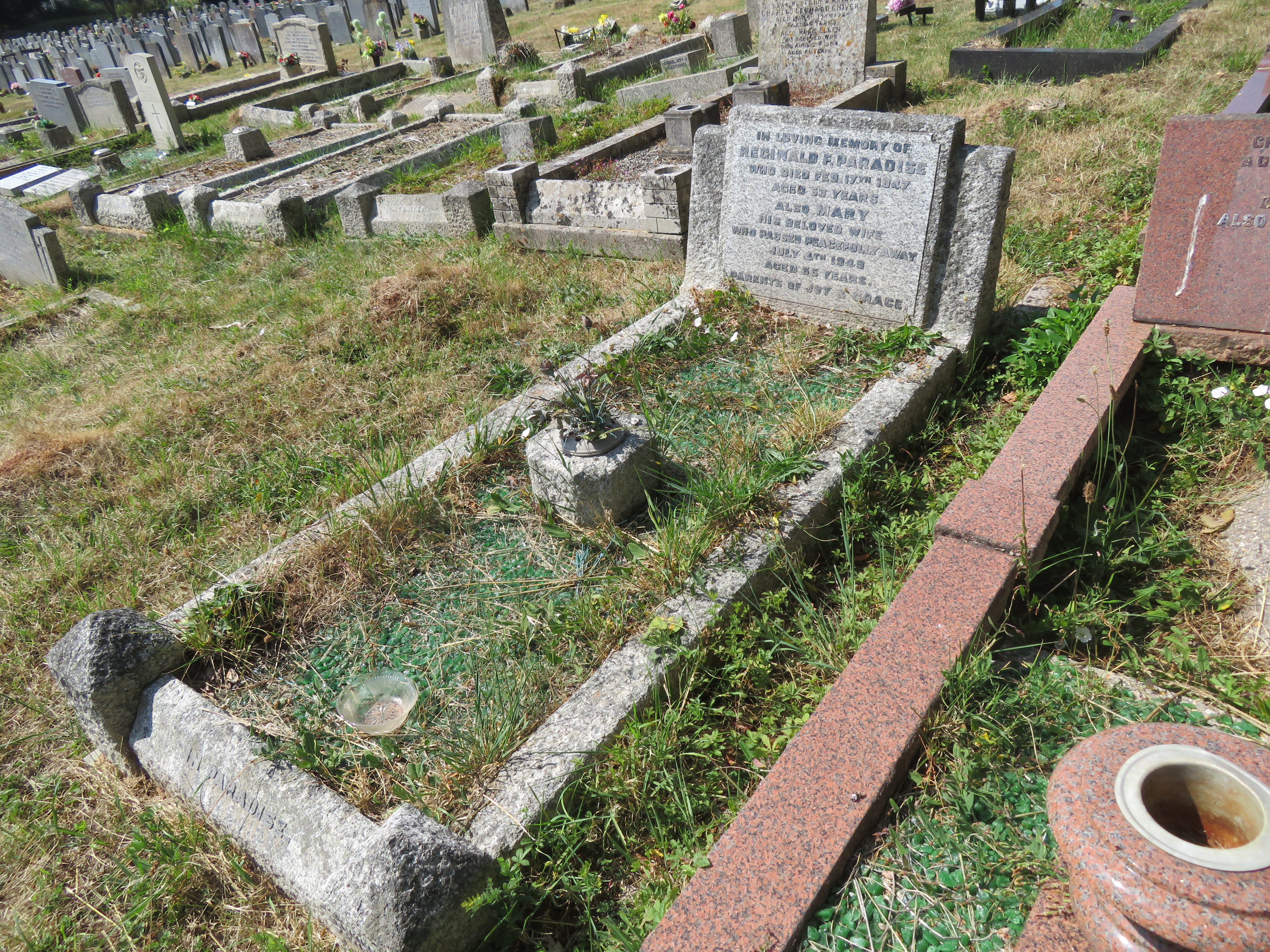 MSN-N.BB.09 1 Paradise