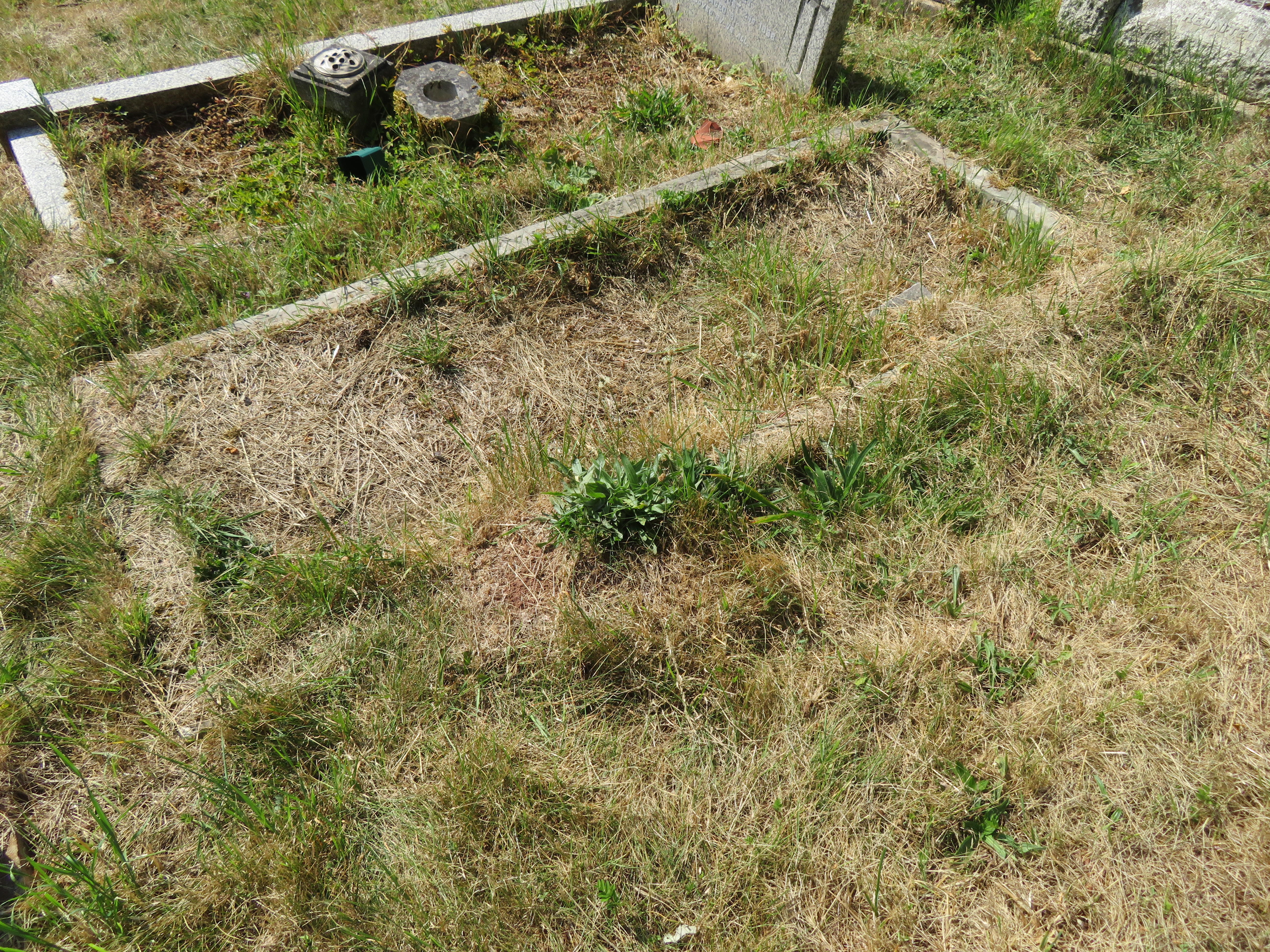 MSN-N.BB.11 1 Knowles