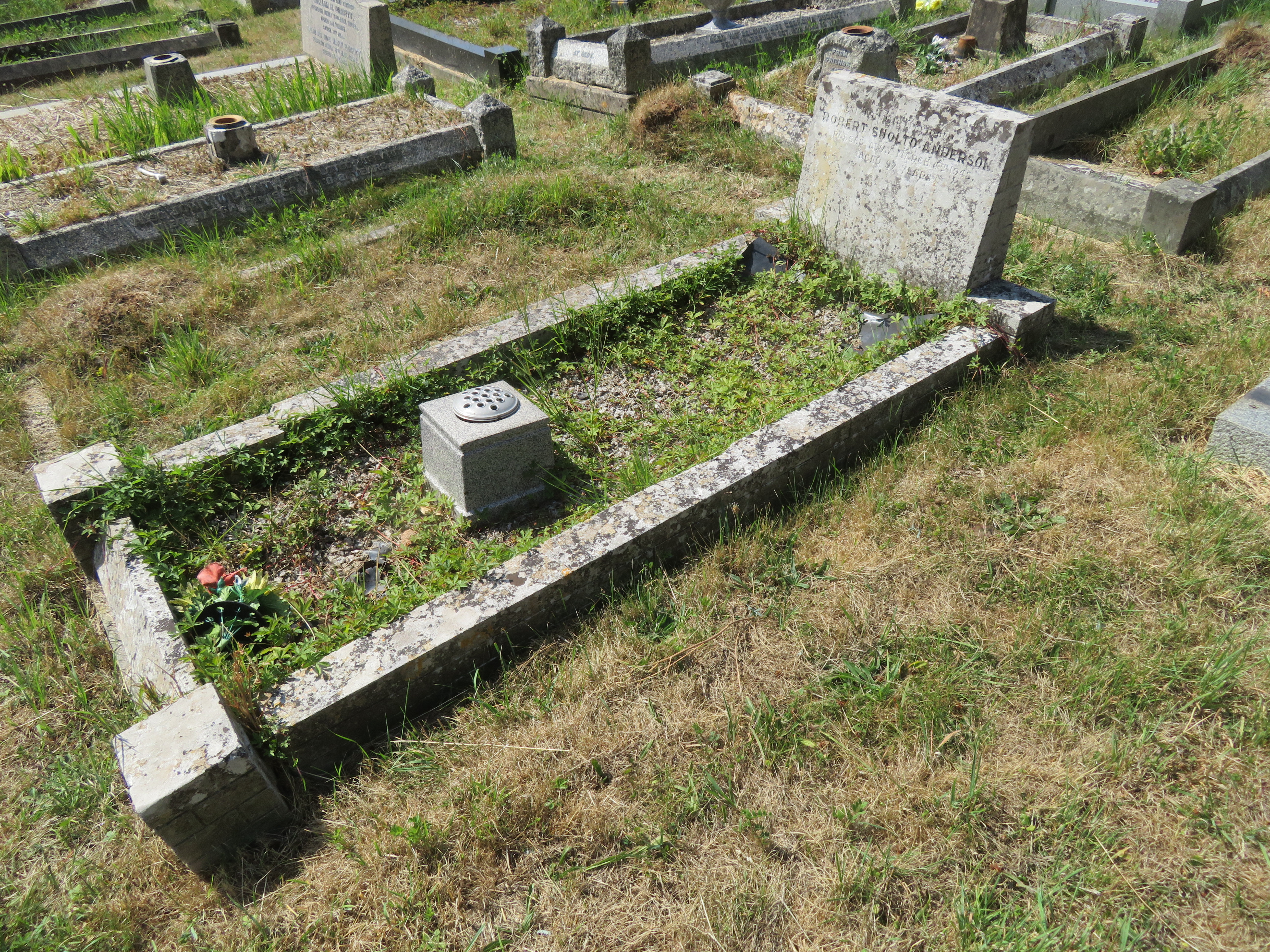 MSN-N.BB.19 1 Anderson