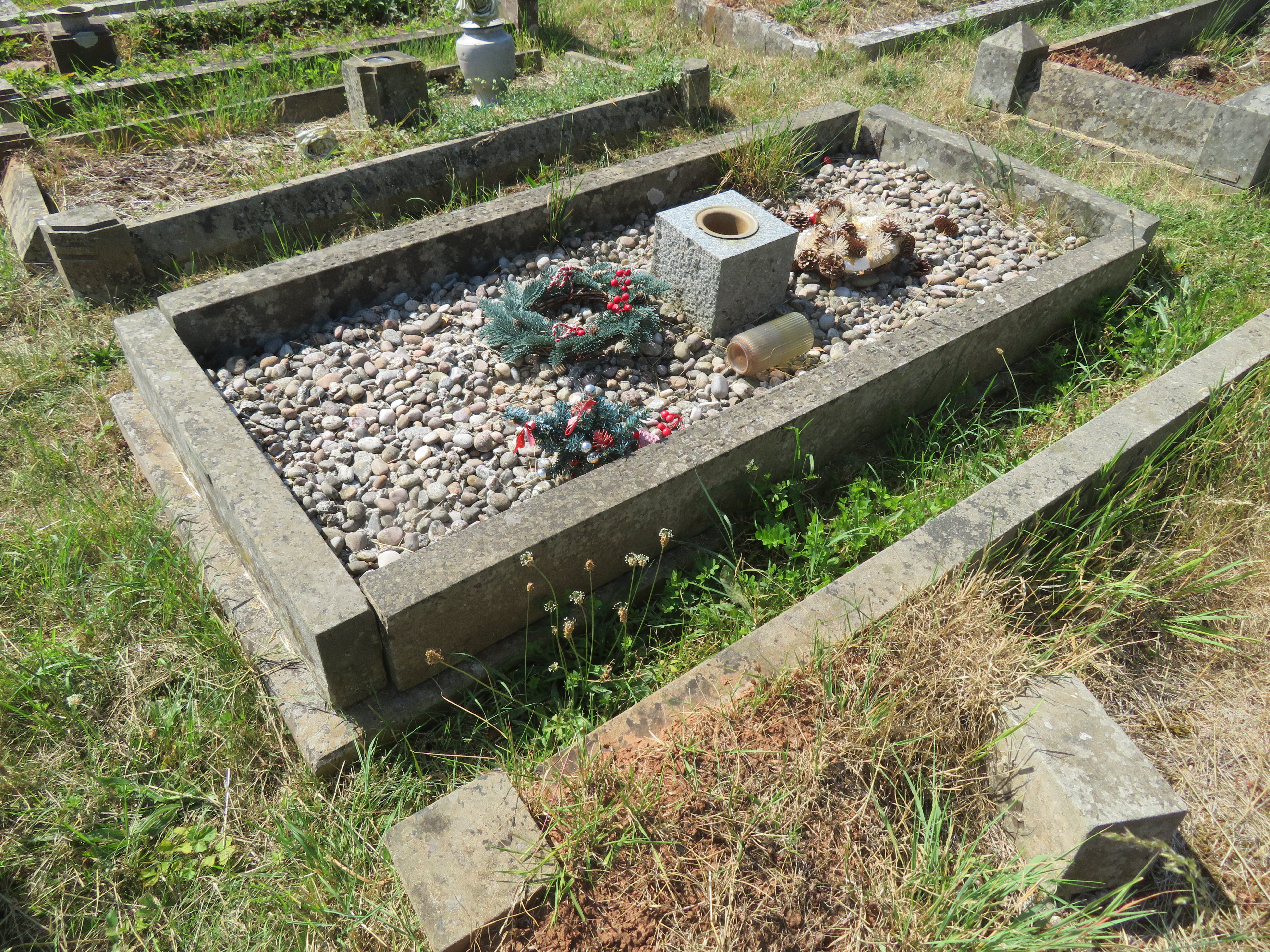 MSN-N.BB.34 1 Barton