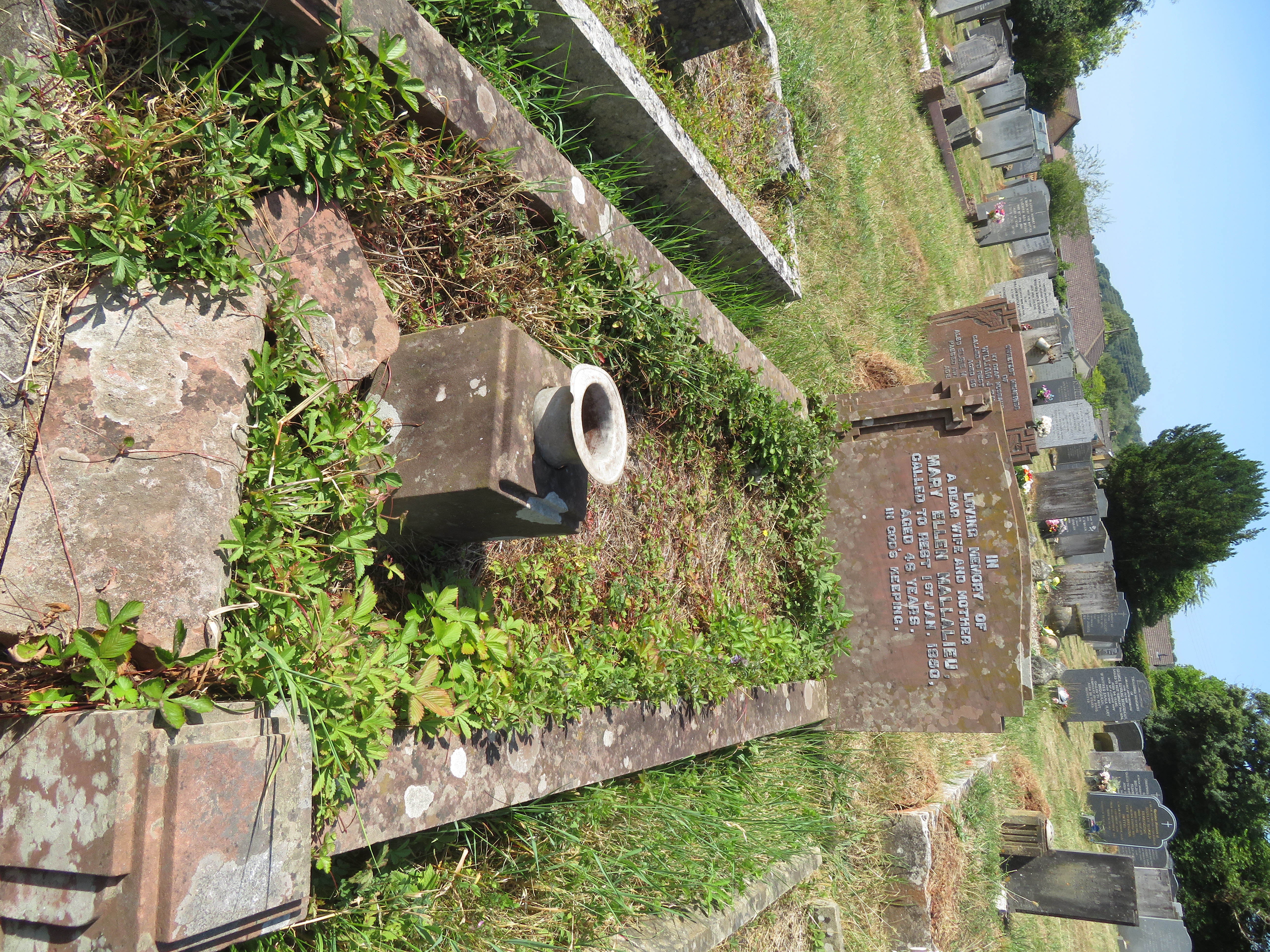 MSN-N.BB.36 1 Mallalieu