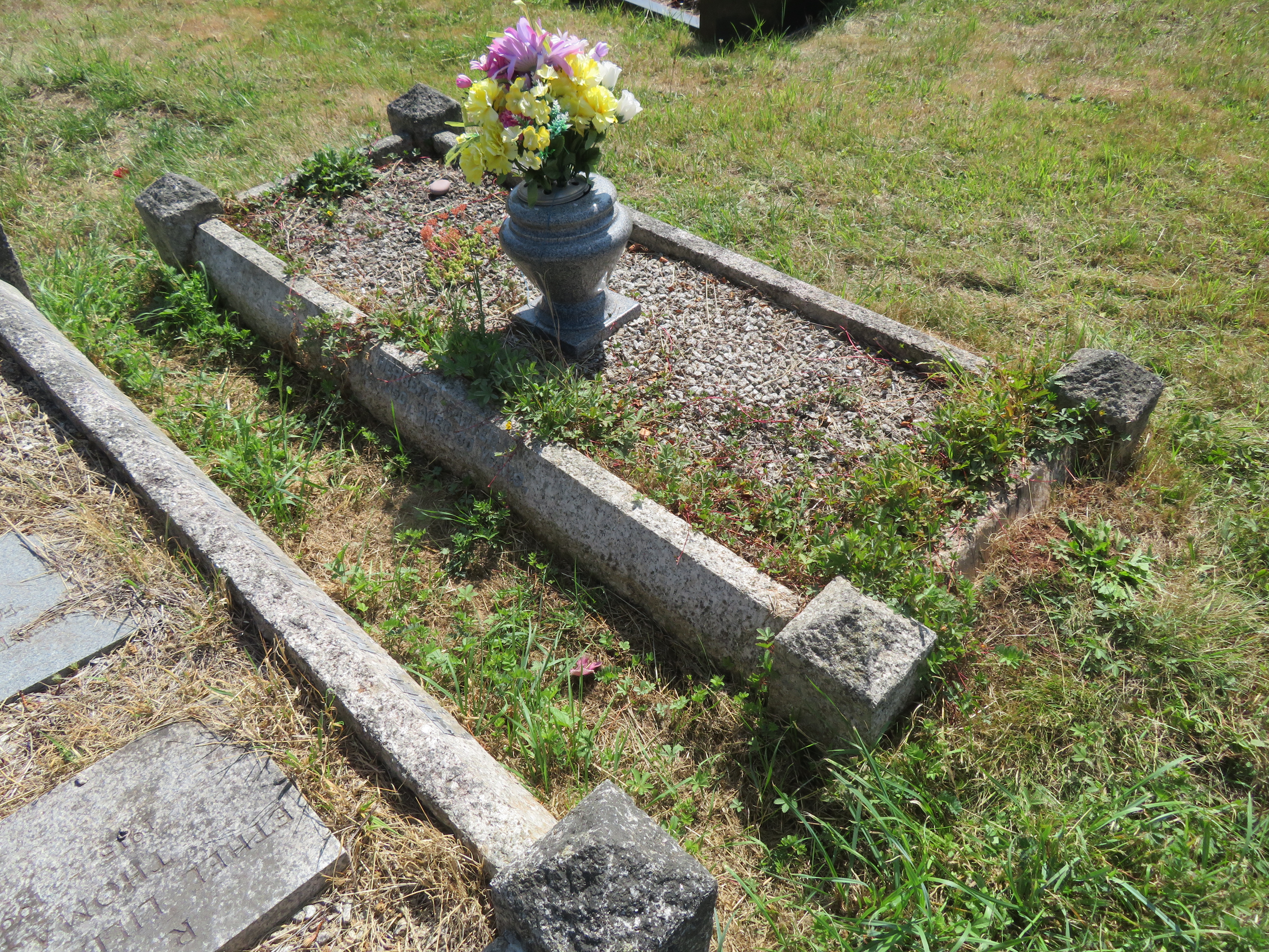 MSN-N.BB.43 1 Carver