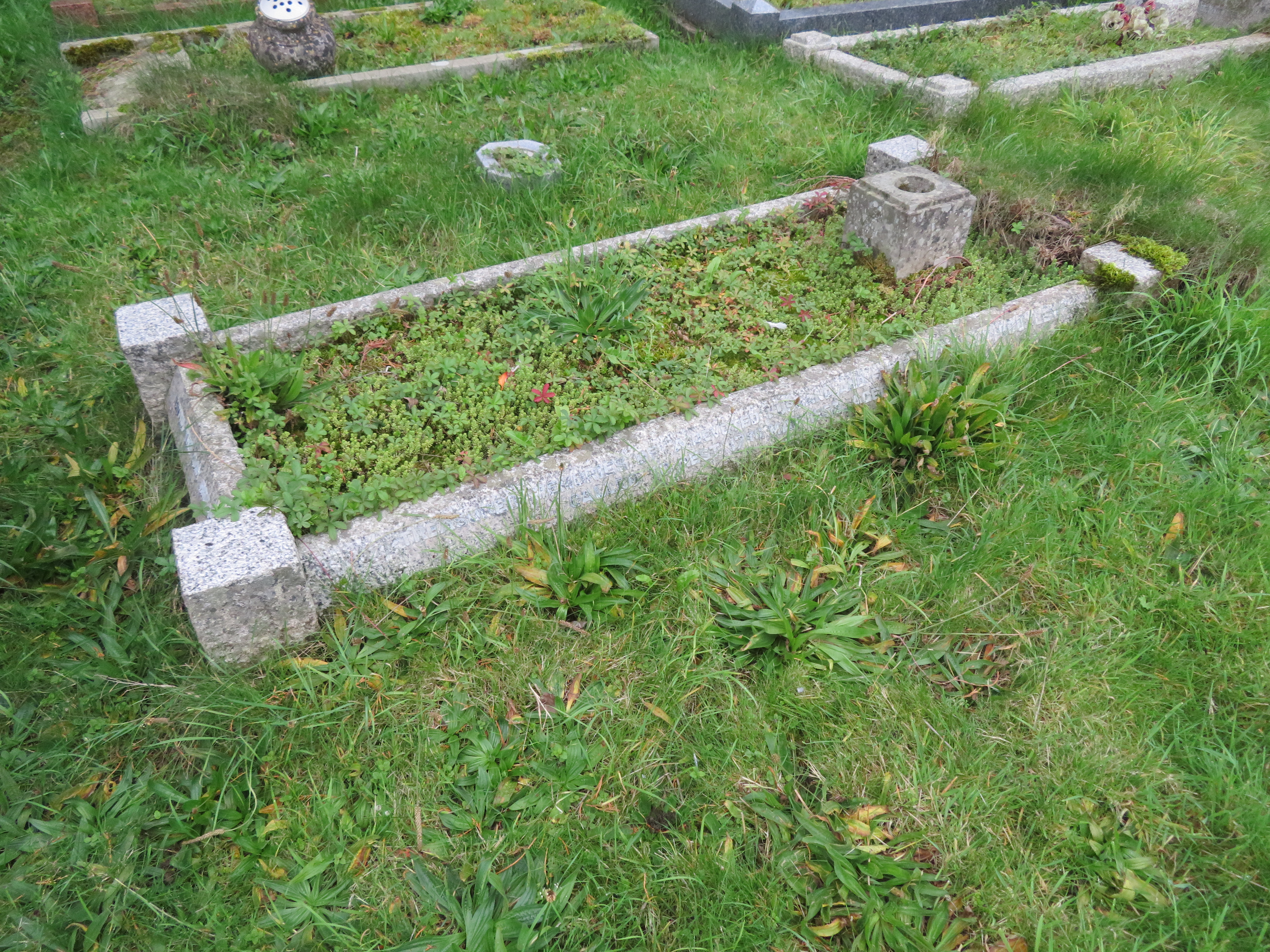 MSN-N.C.08 1 Routley