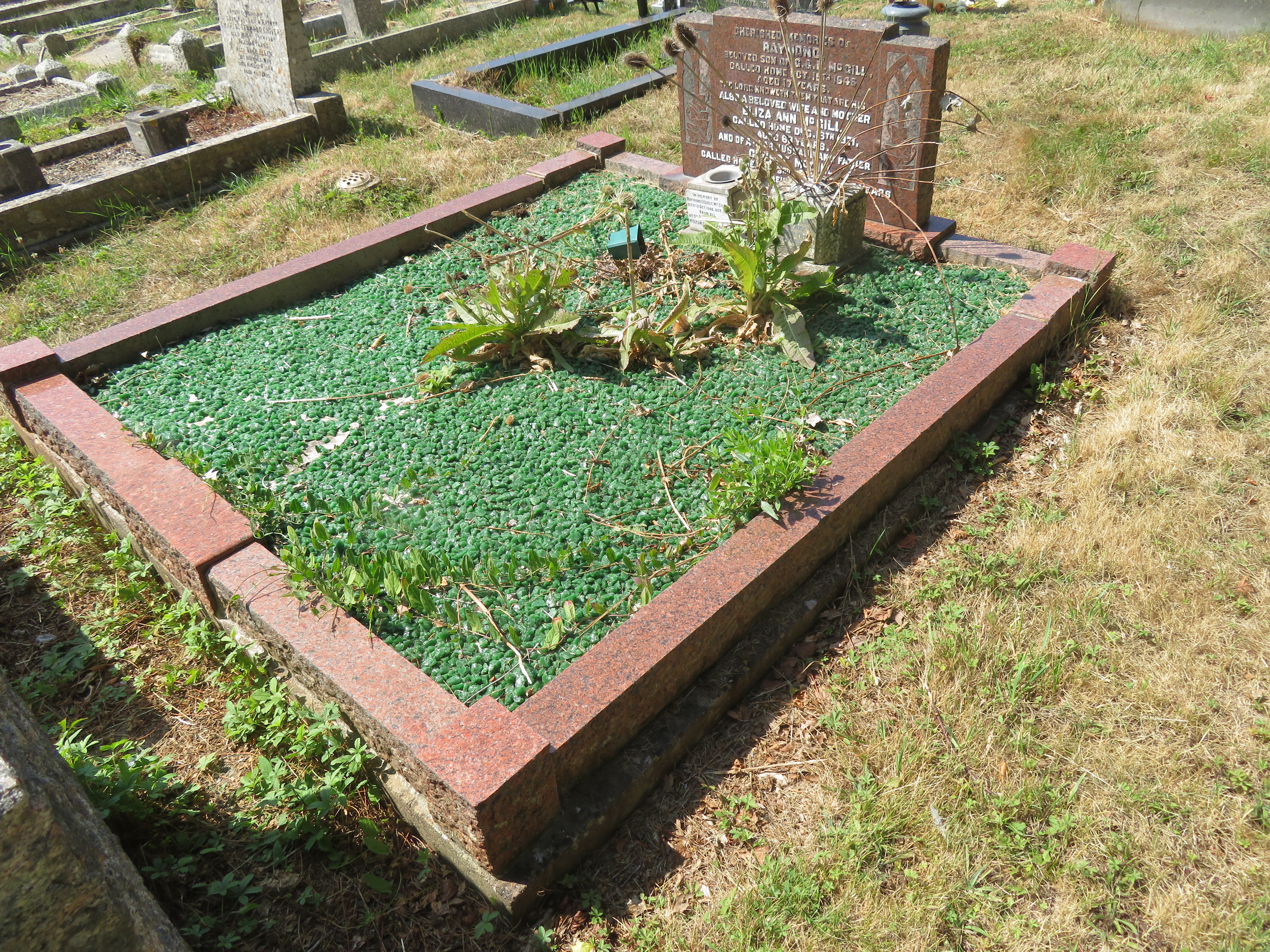 MSN-N.CC.08 1 McGill