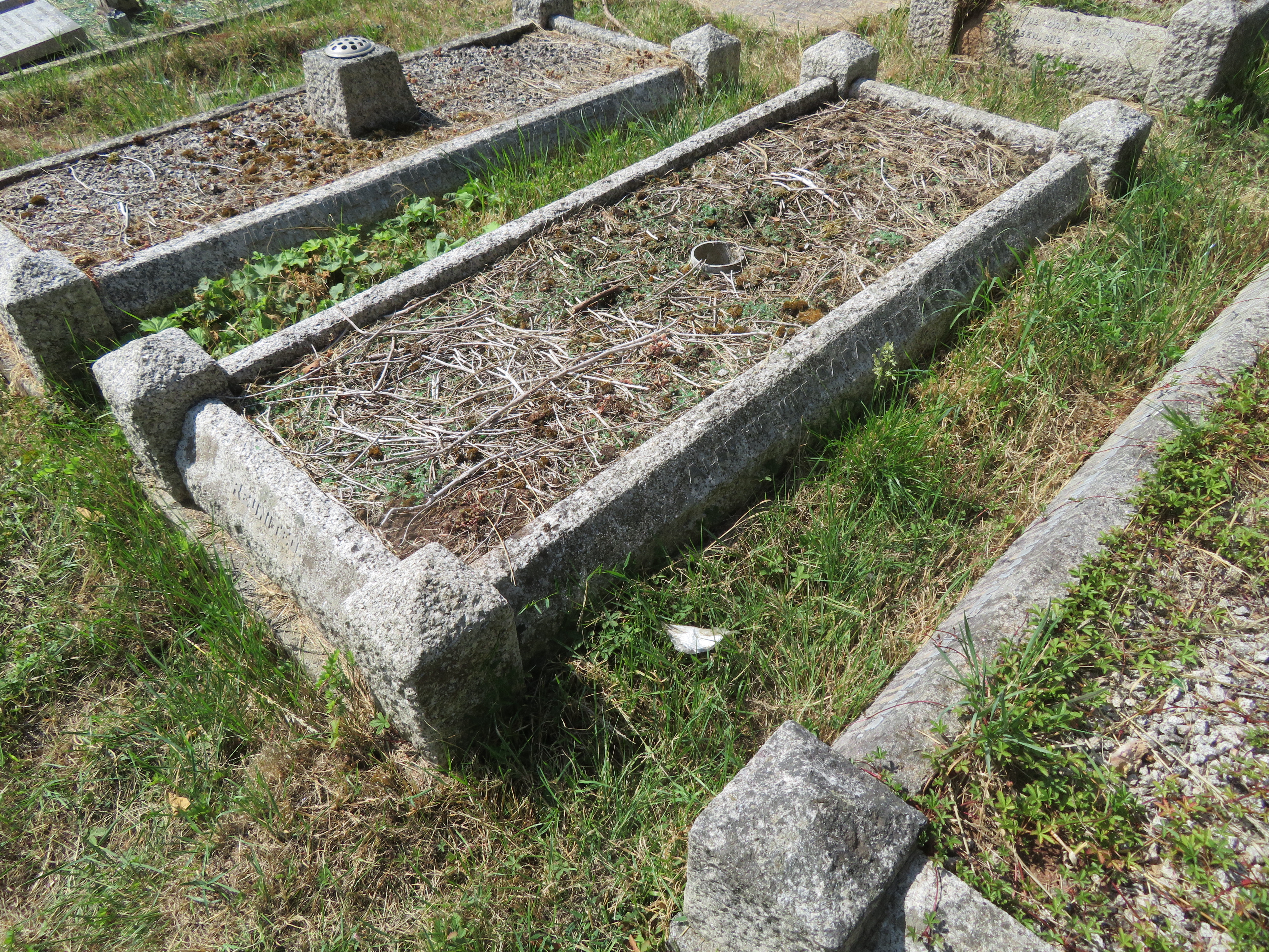 MSN-N.CC.12 1 Withers