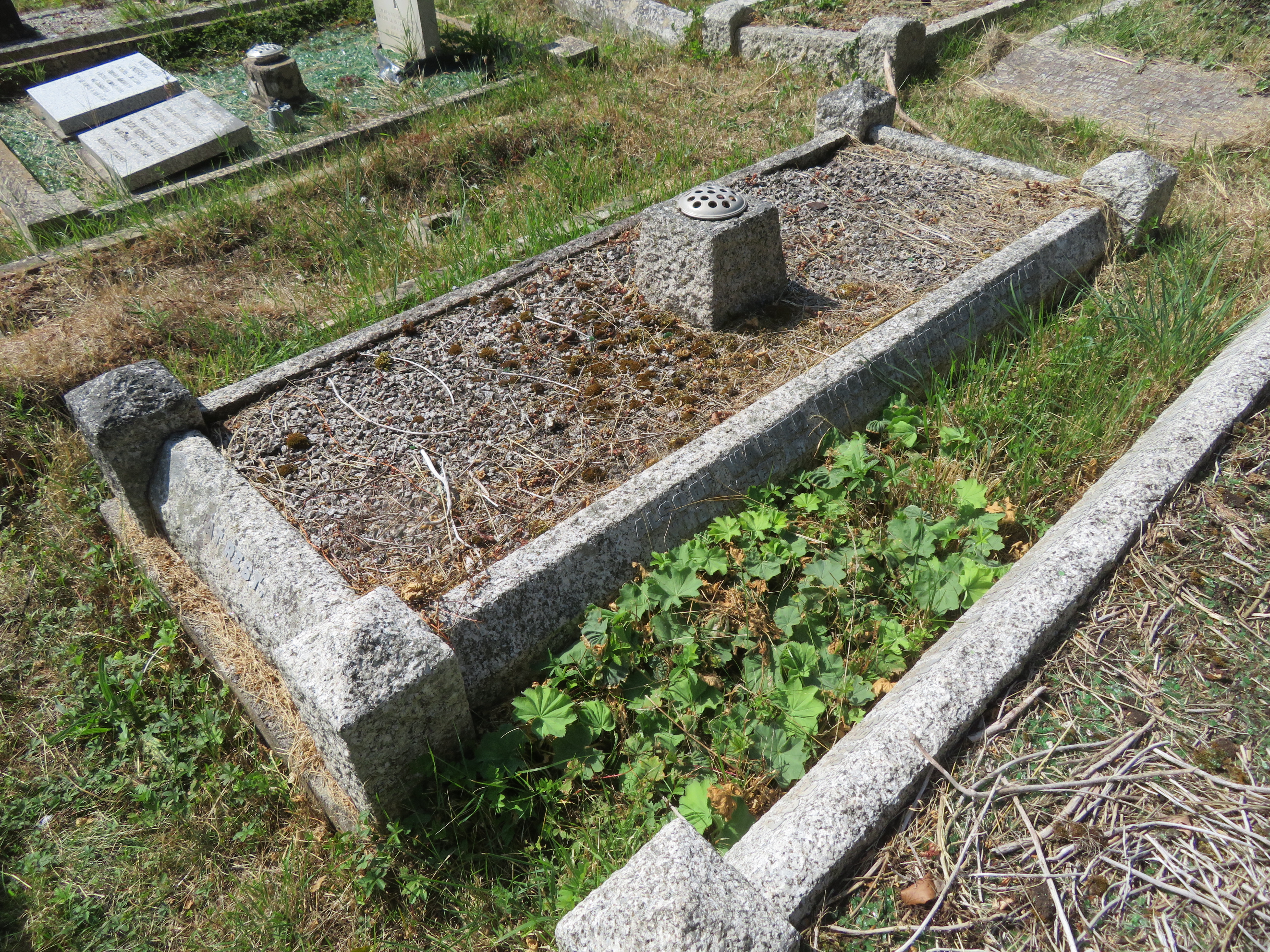 MSN-N.CC.13 1 Bisgrove