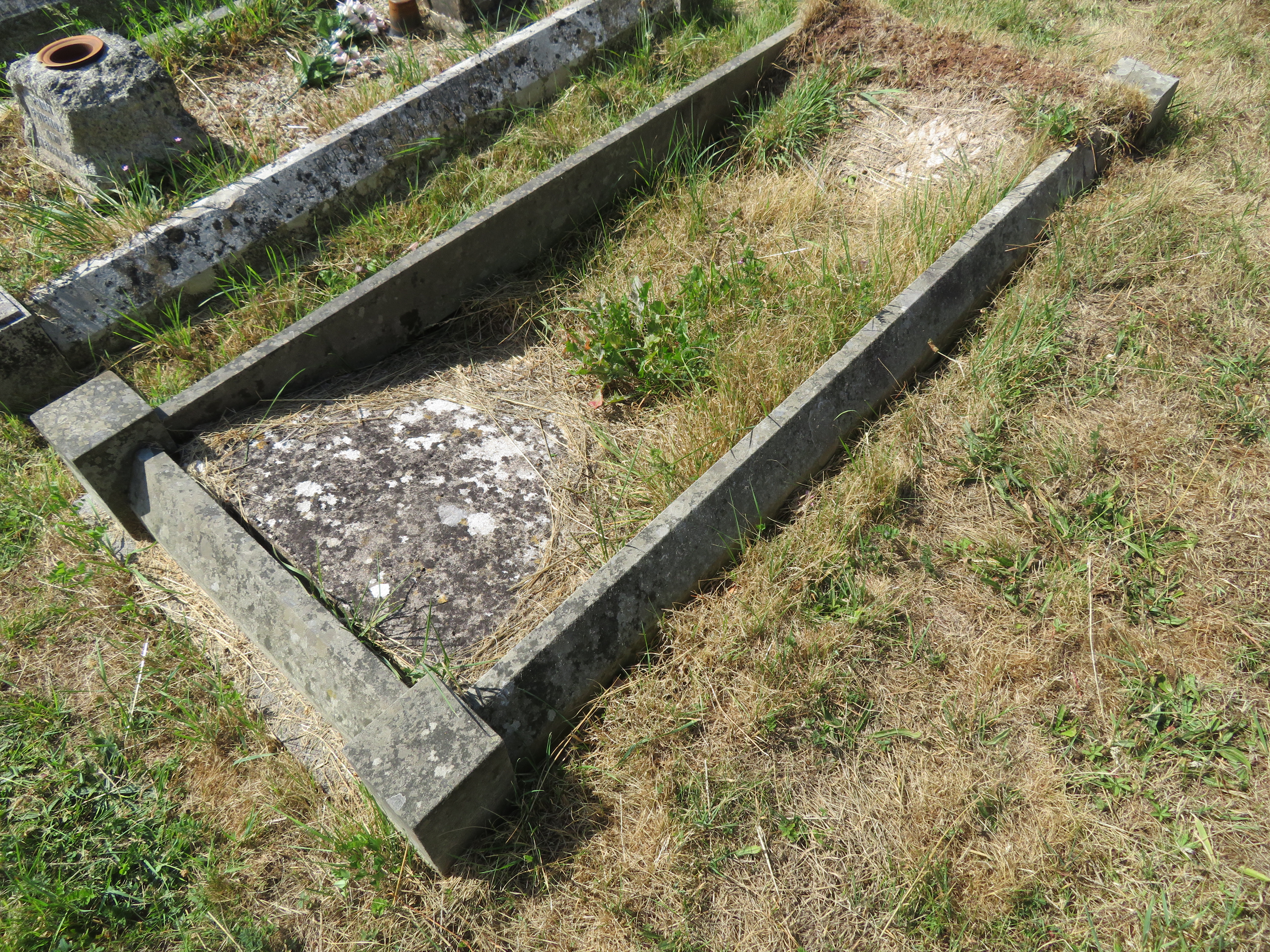 MSN-N.CC.20 1 Purnell