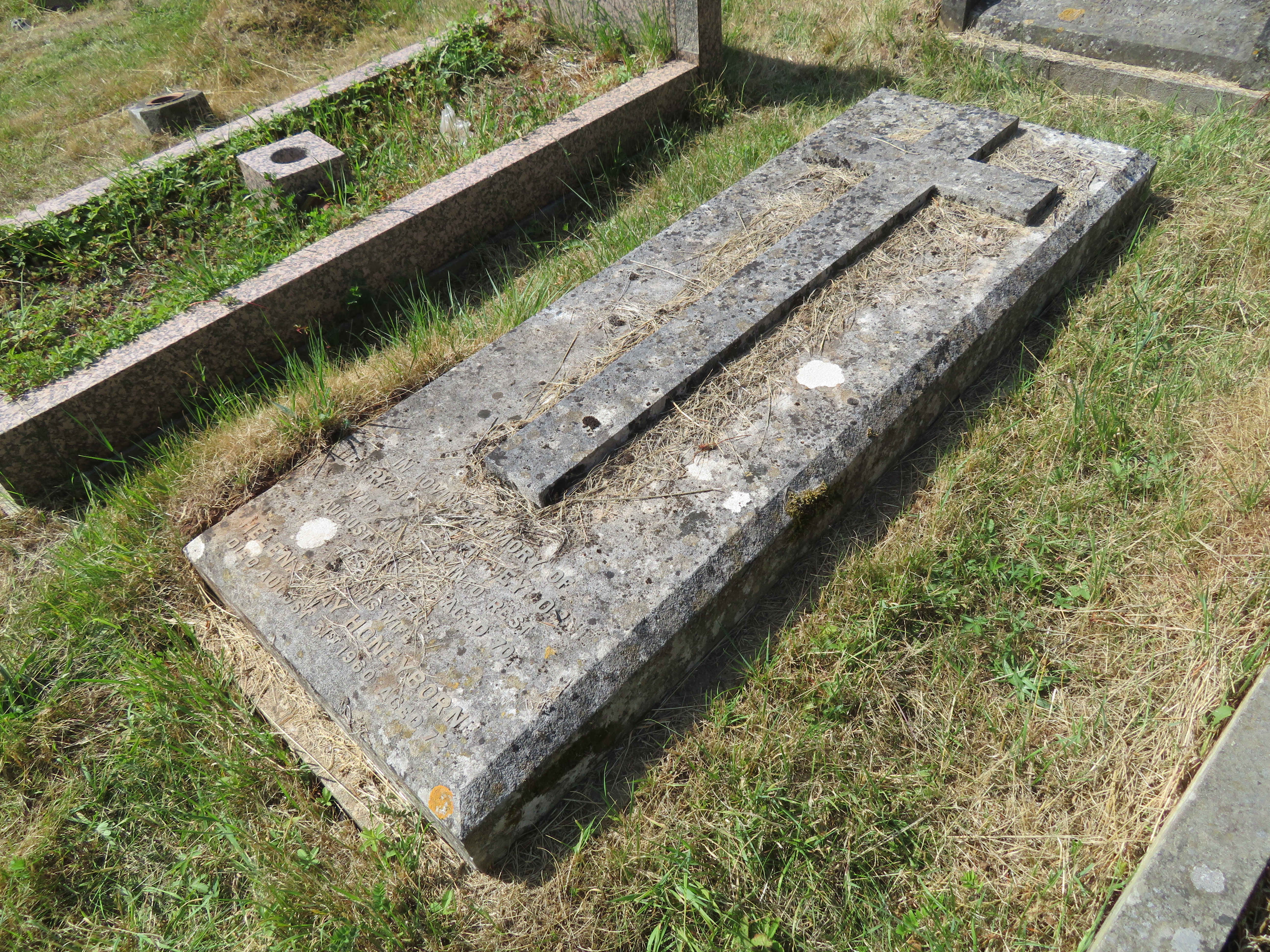 MSN-N.CC.29 1 Honeyborne