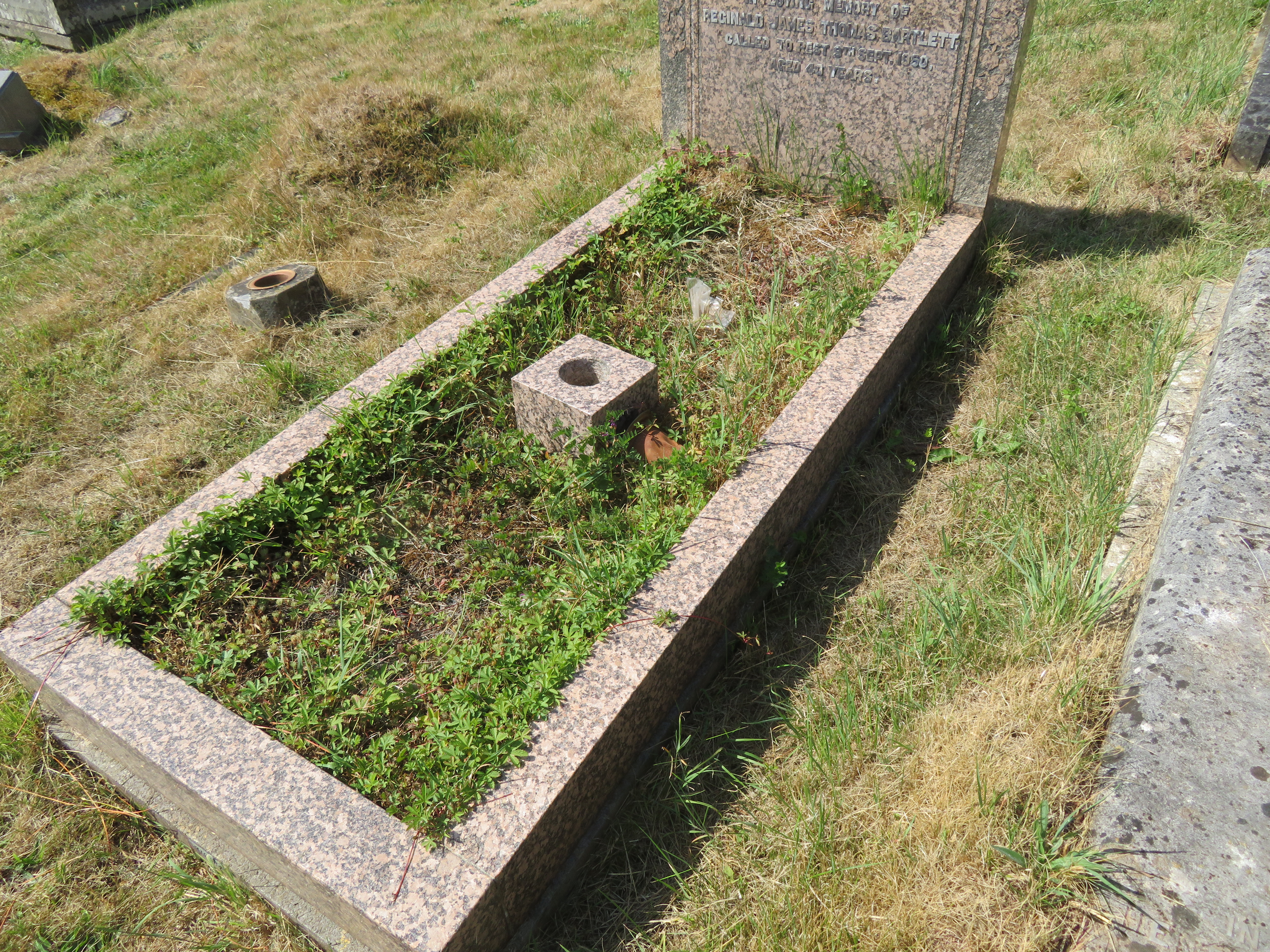 MSN-N.CC.30 1 Bartlett