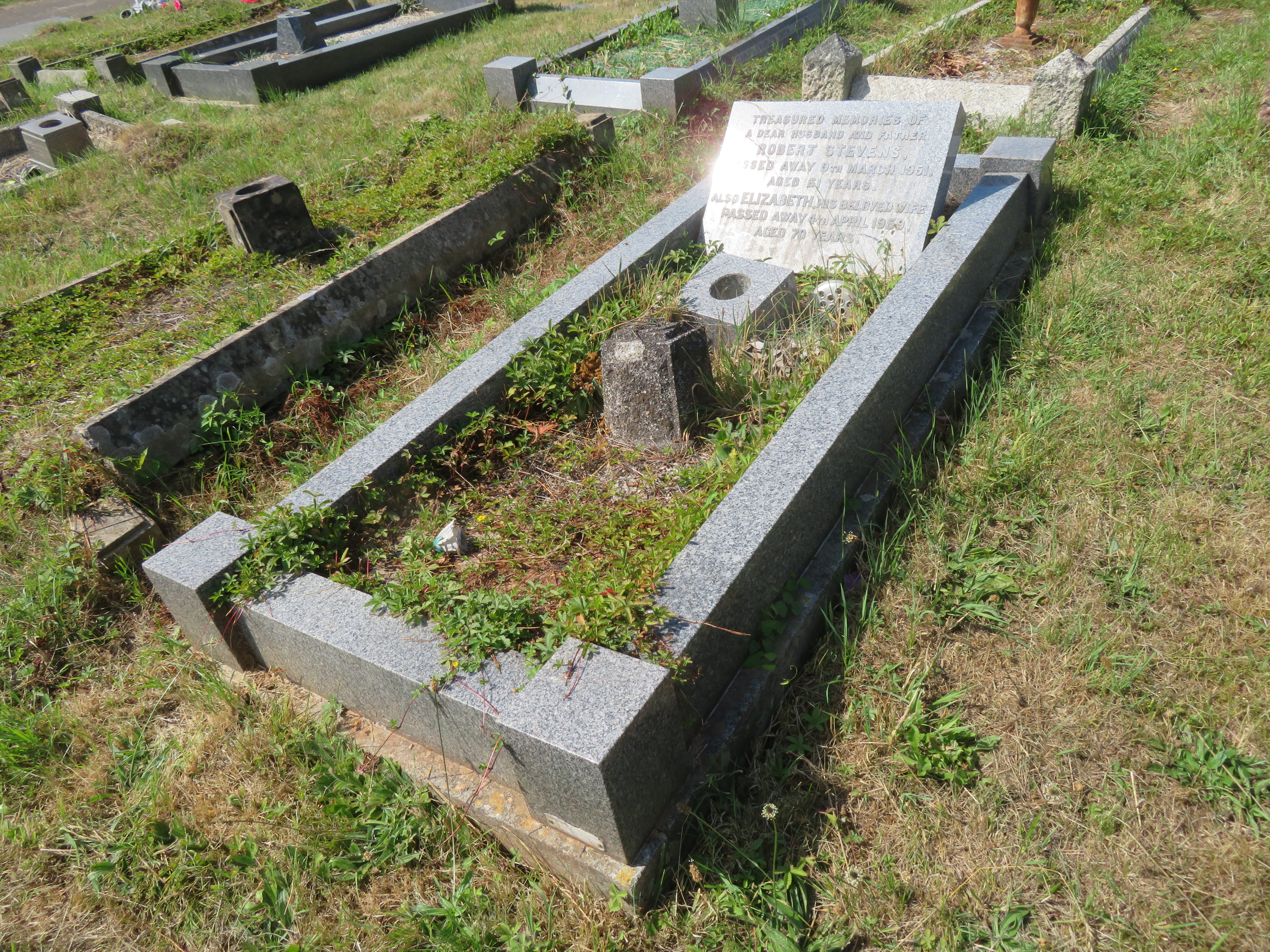 MSN-N.CC.41 1 Stevens