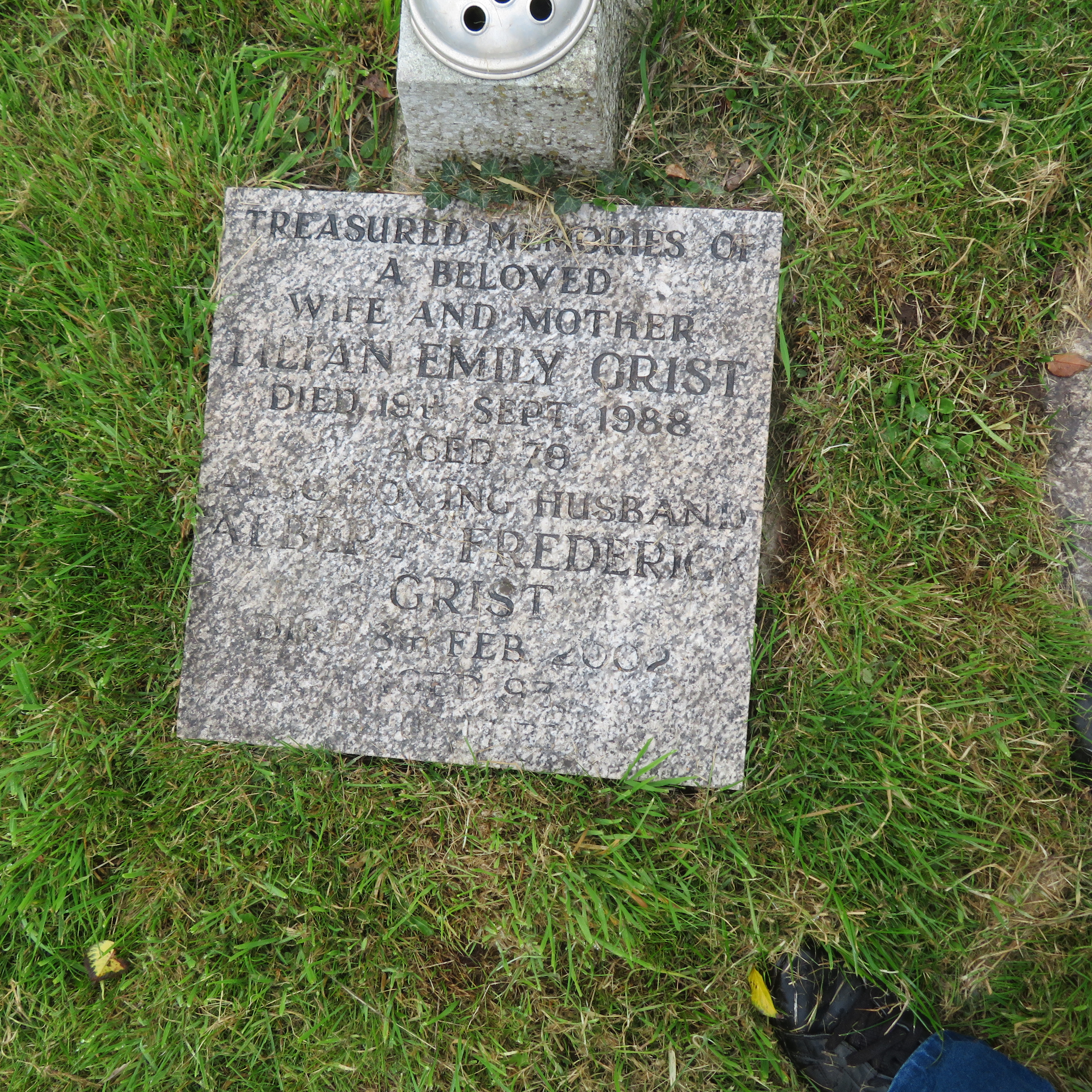 MSN-N.CN.A01 1 Grist