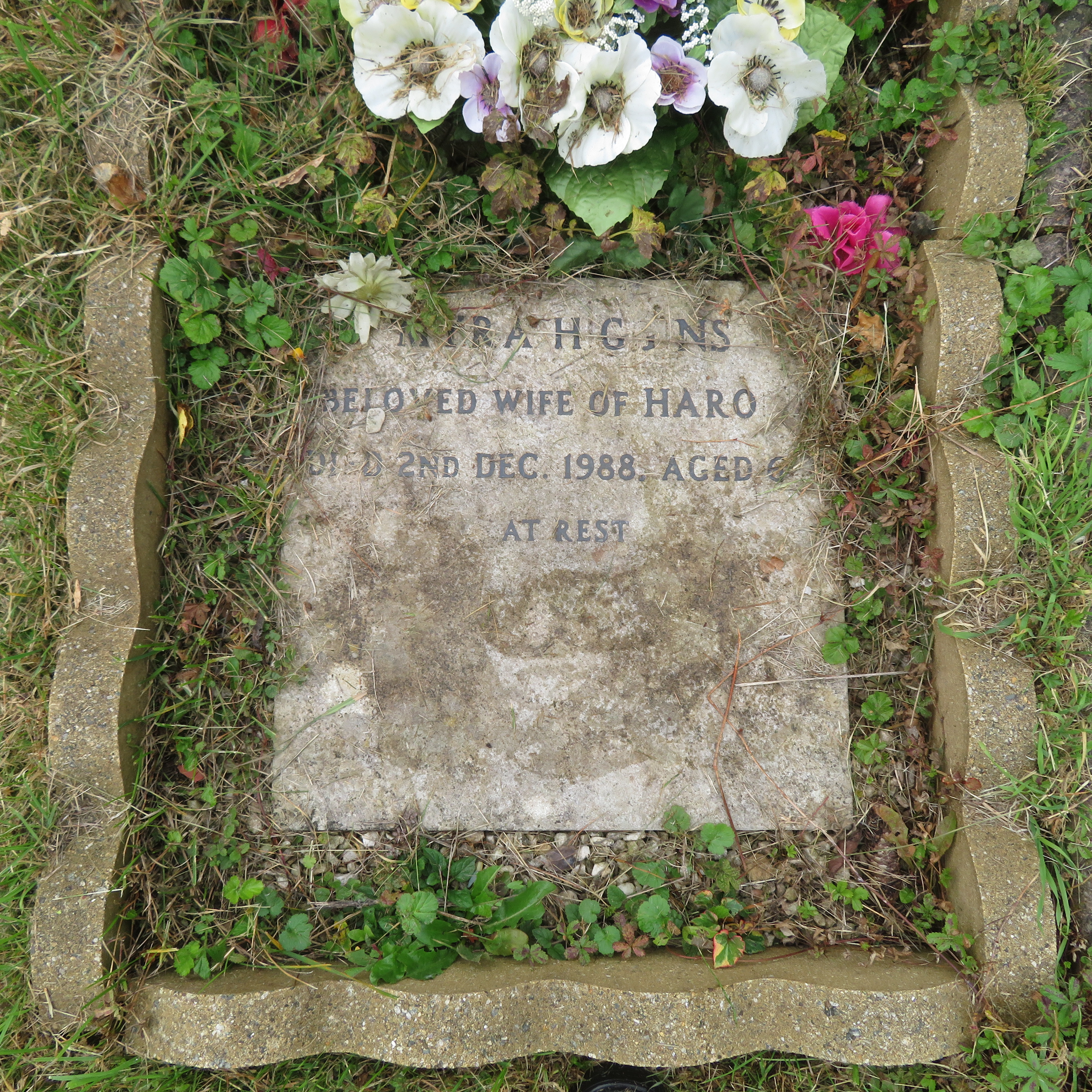 MSN-N.CN.A04 1 Higgins