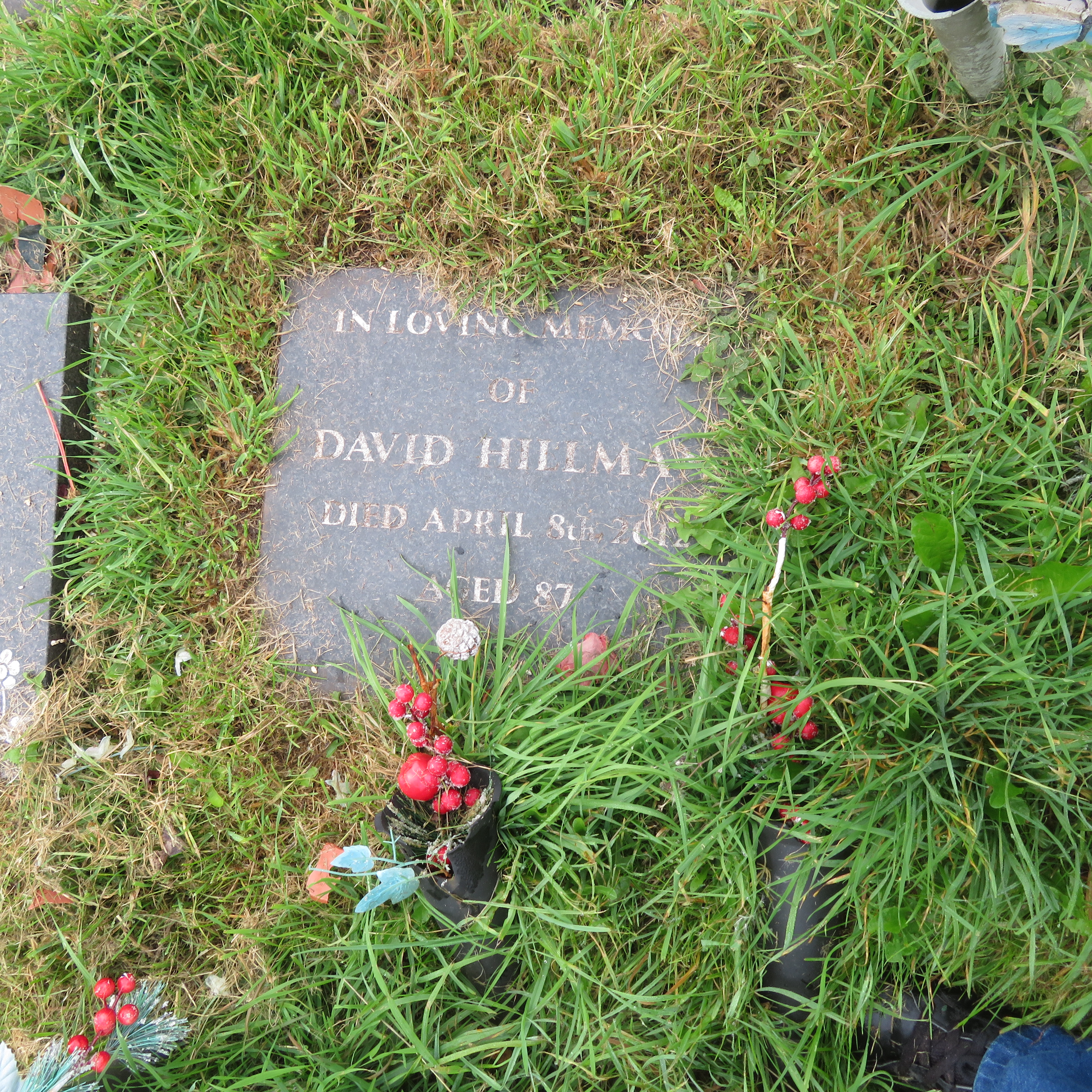 MSN-N.CN.AA04 1 Hillman