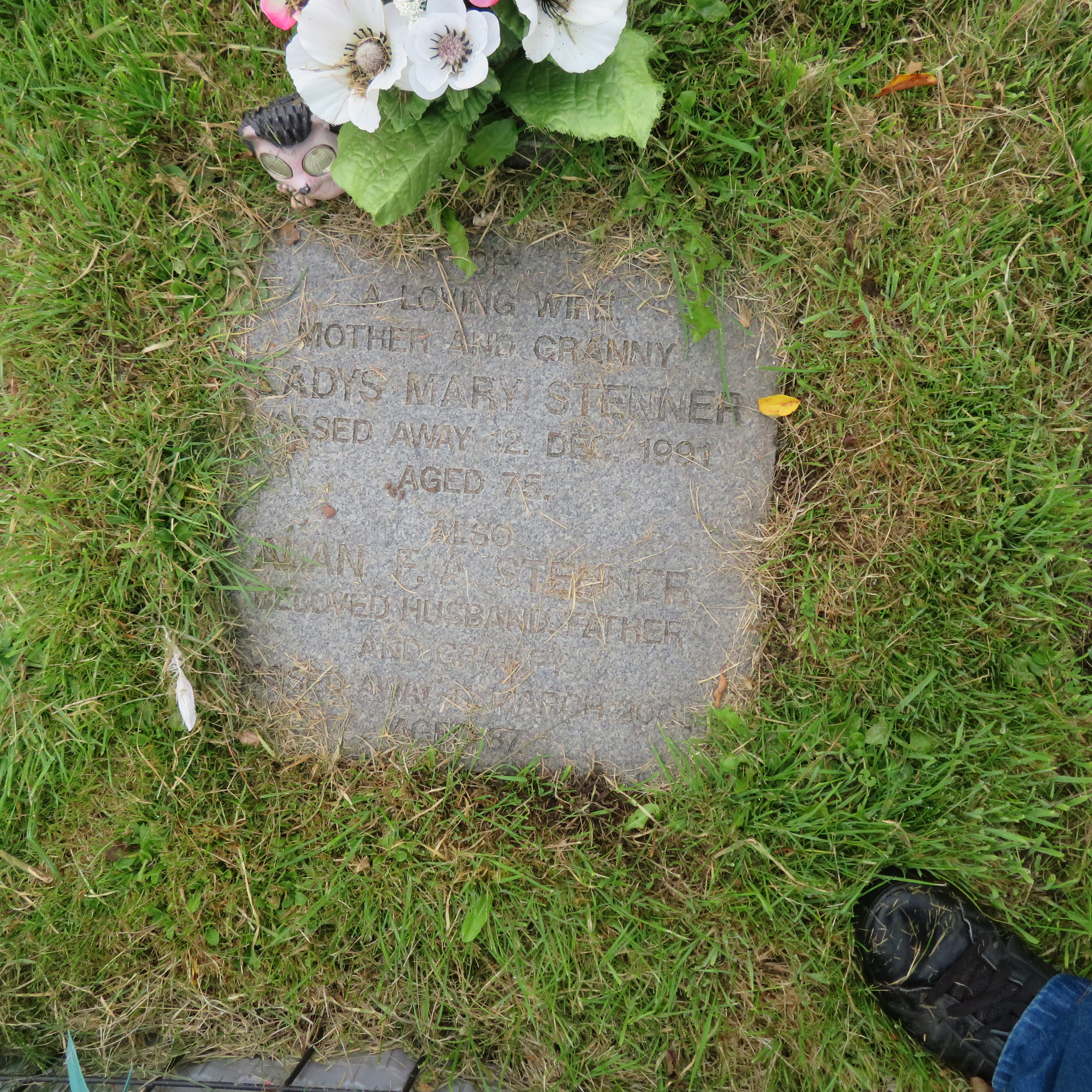 MSN-N.CN.C01 1 Stenner