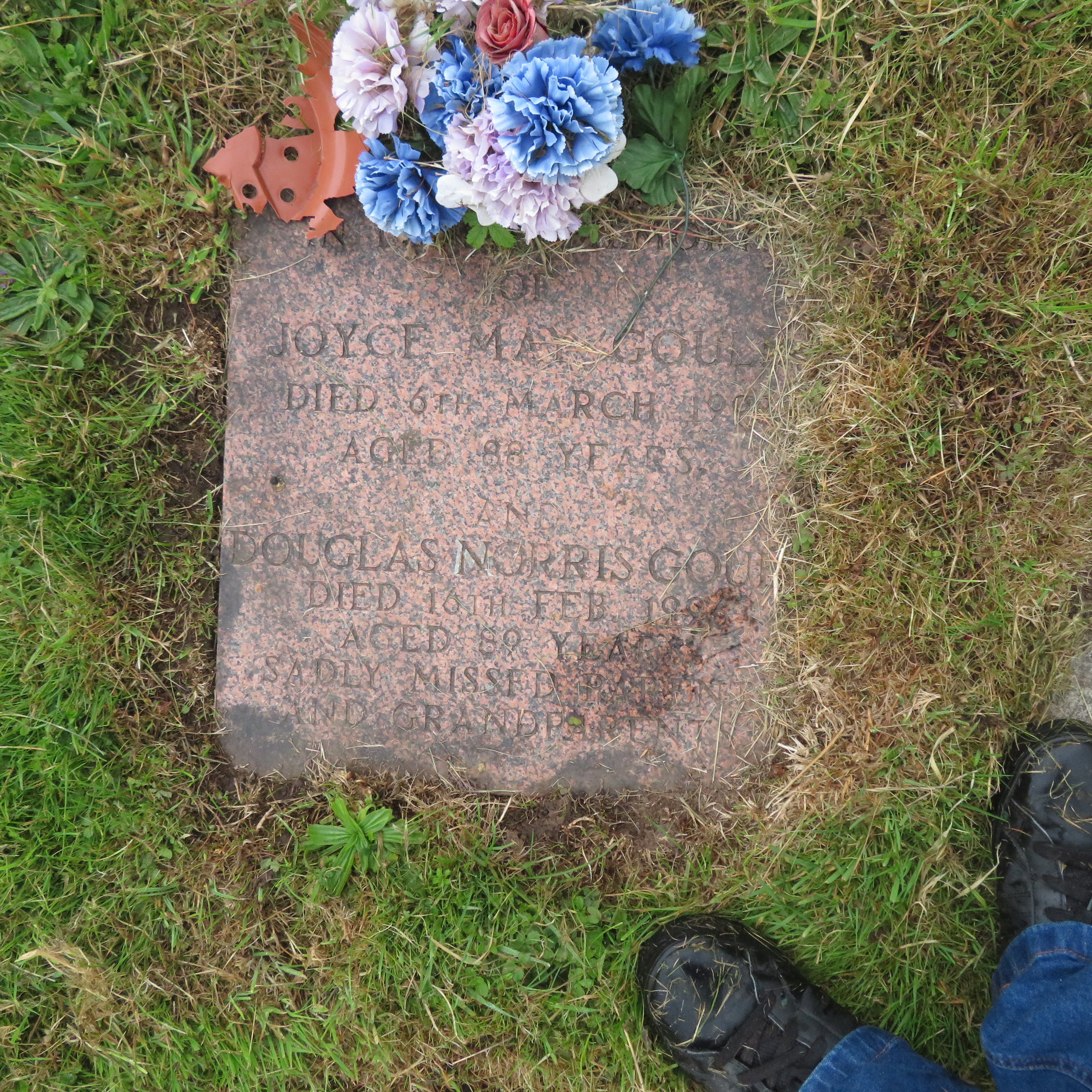 MSN-N.CN.C05 1 Gould