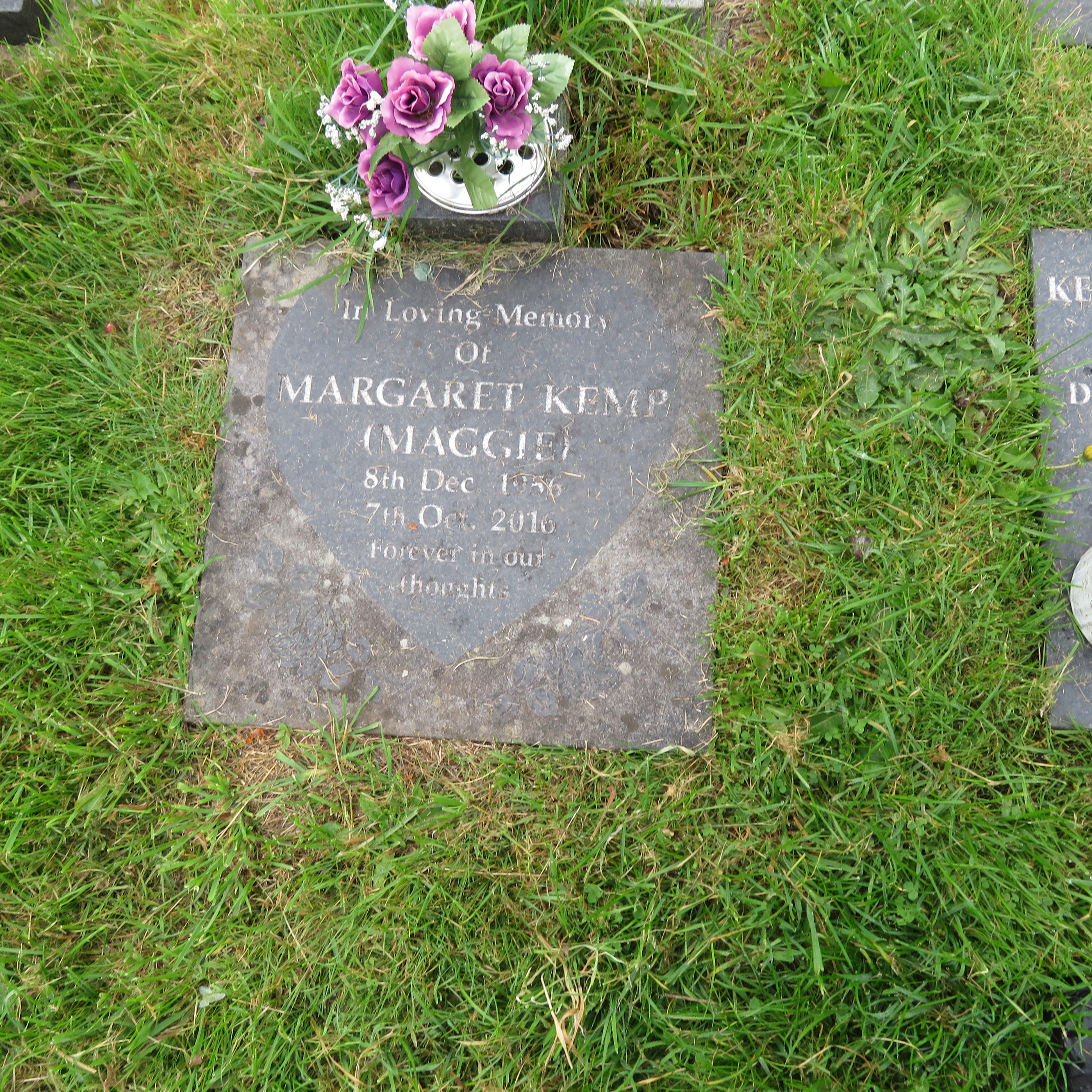 MSN-N.CN.CC08 1 Kemp