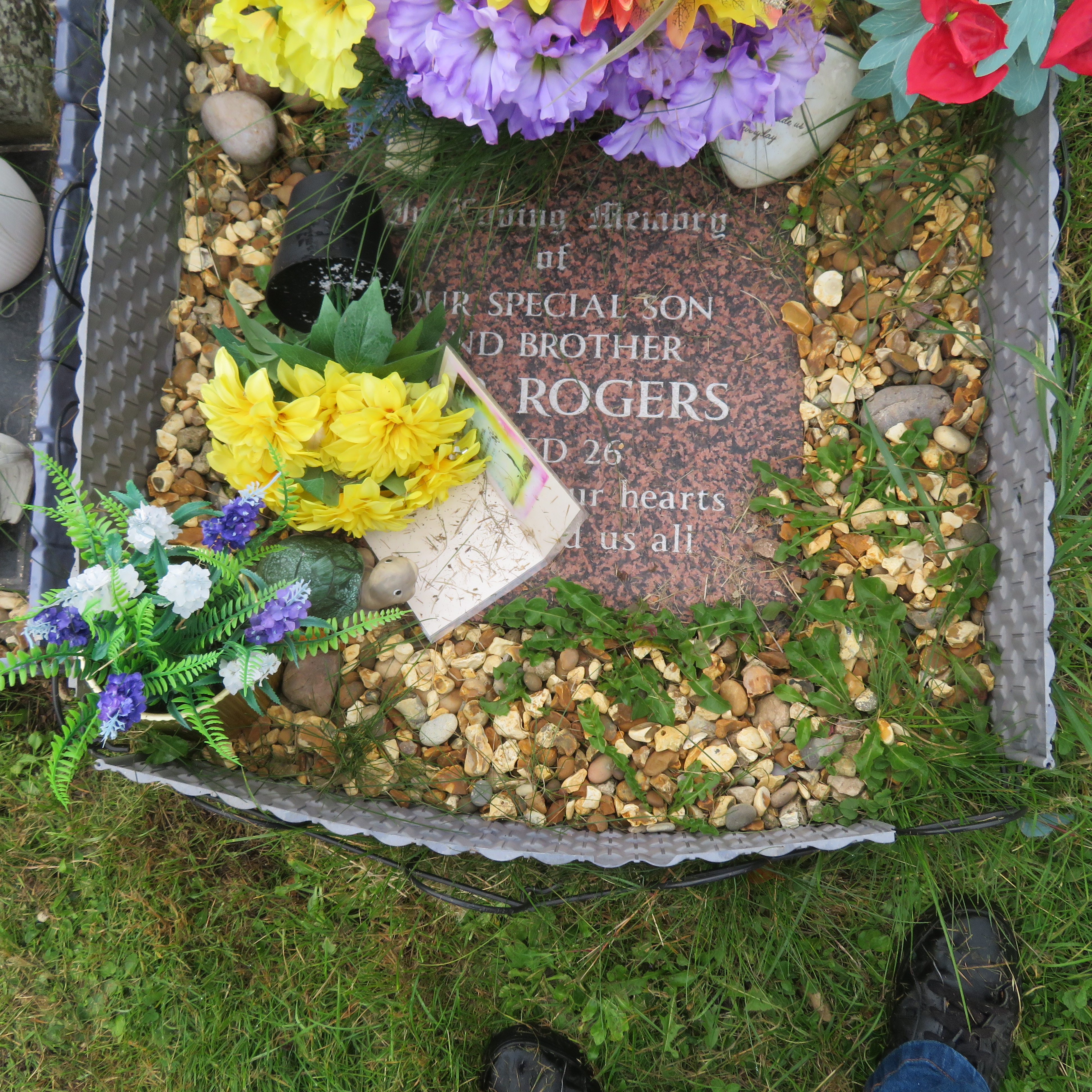 MSN-N.CN.D01 1 Rogers