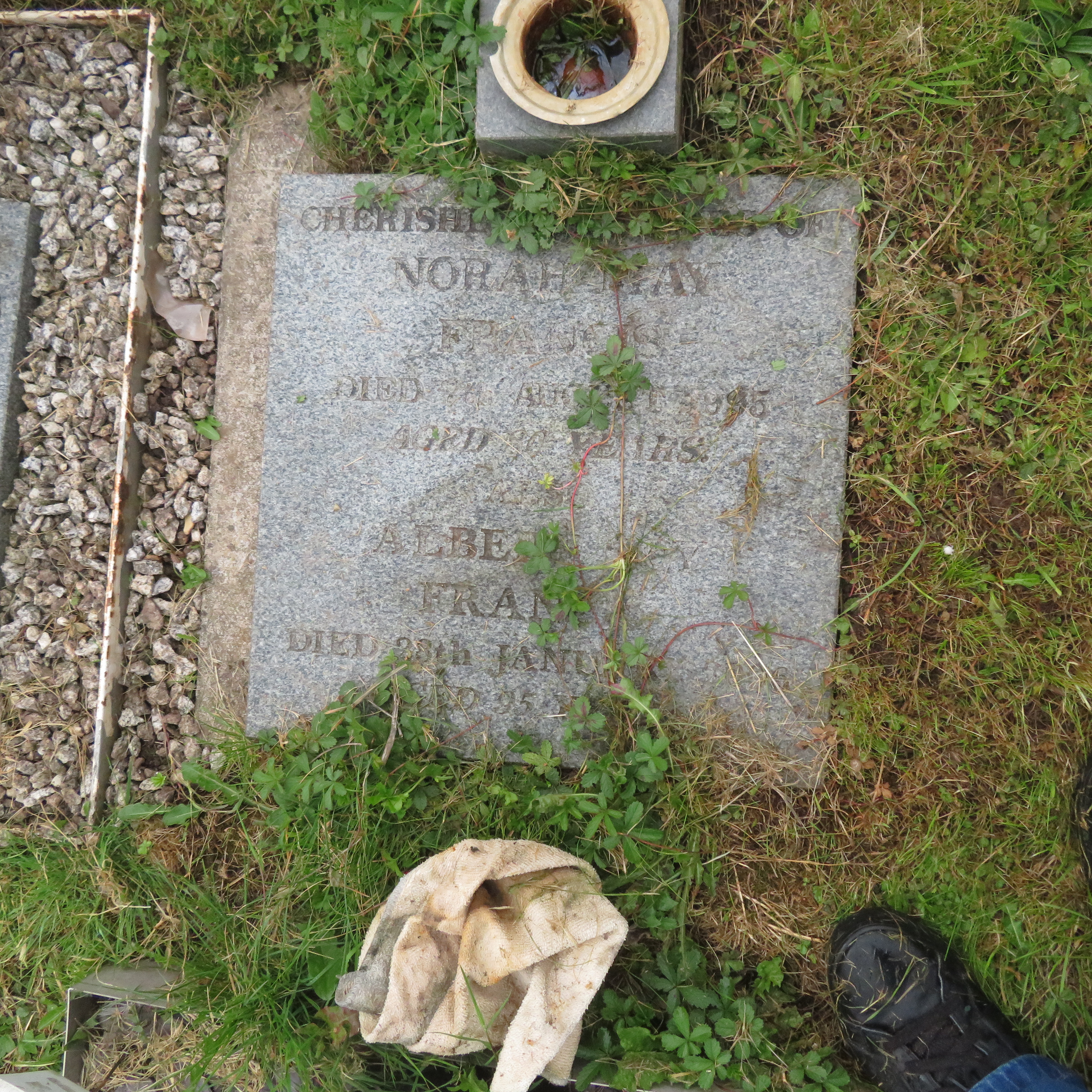 MSN-N.CN.D07 1 Francis