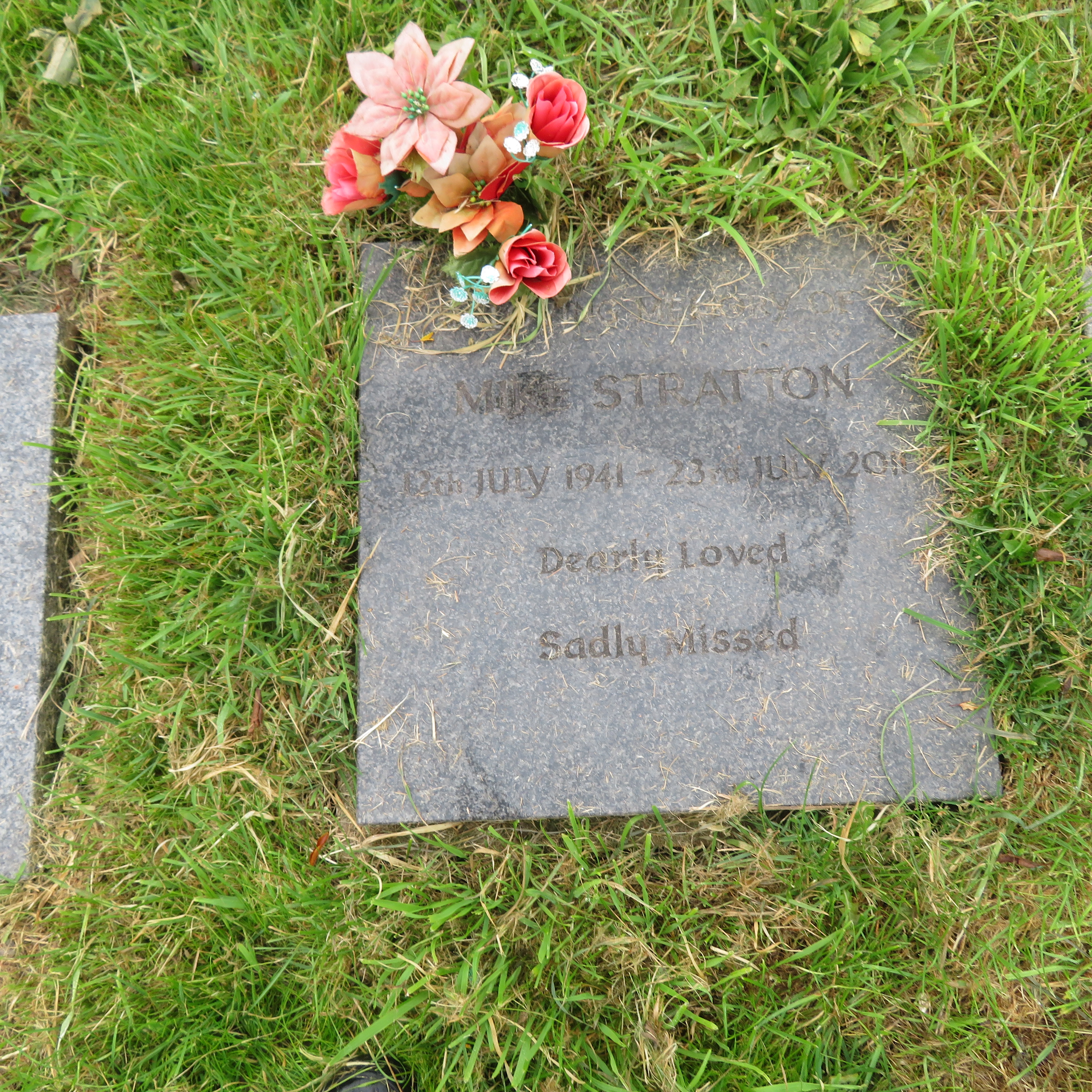 MSN-N.CN.DD09 1 Stratton