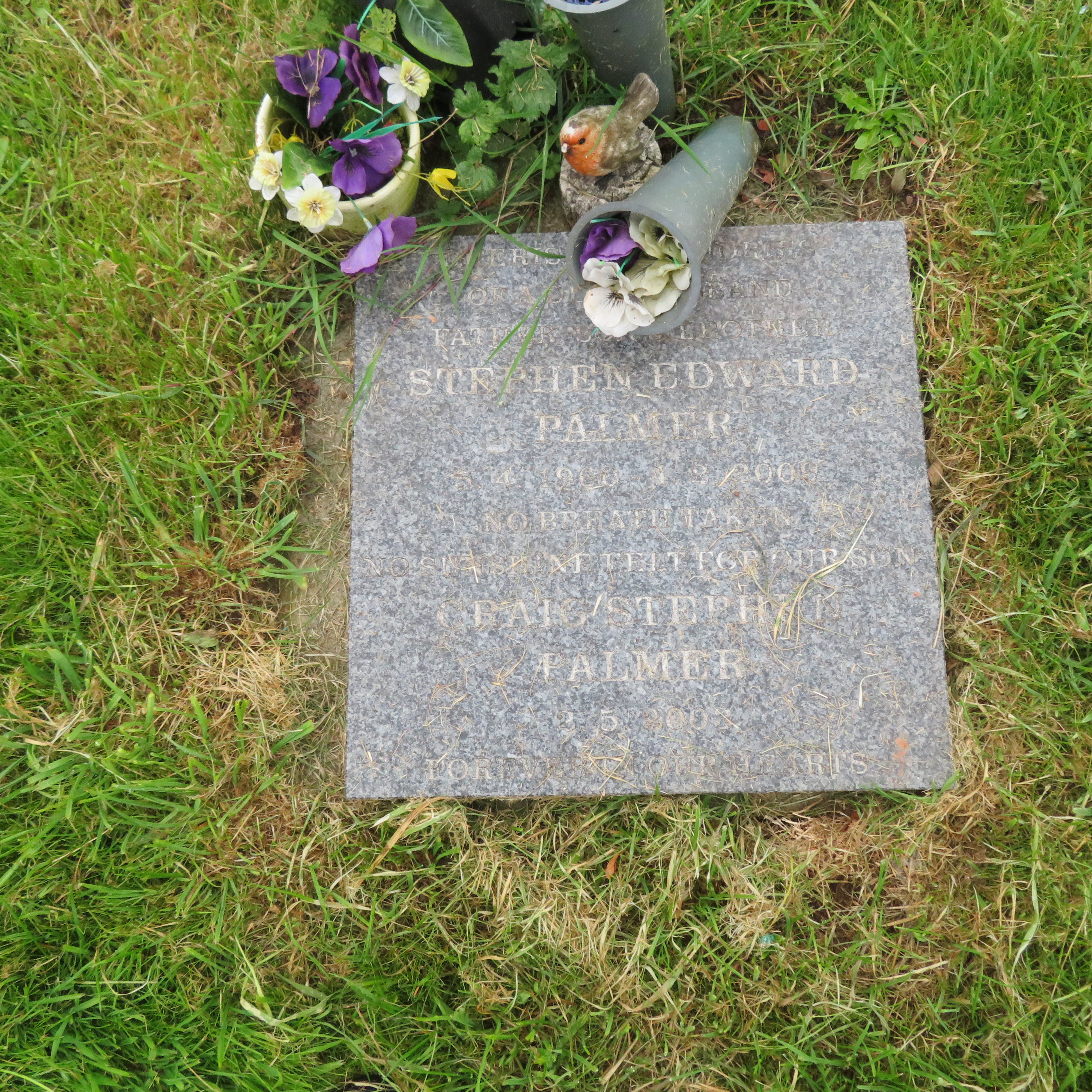 MSN-N.CN.DD10 1 Palmer