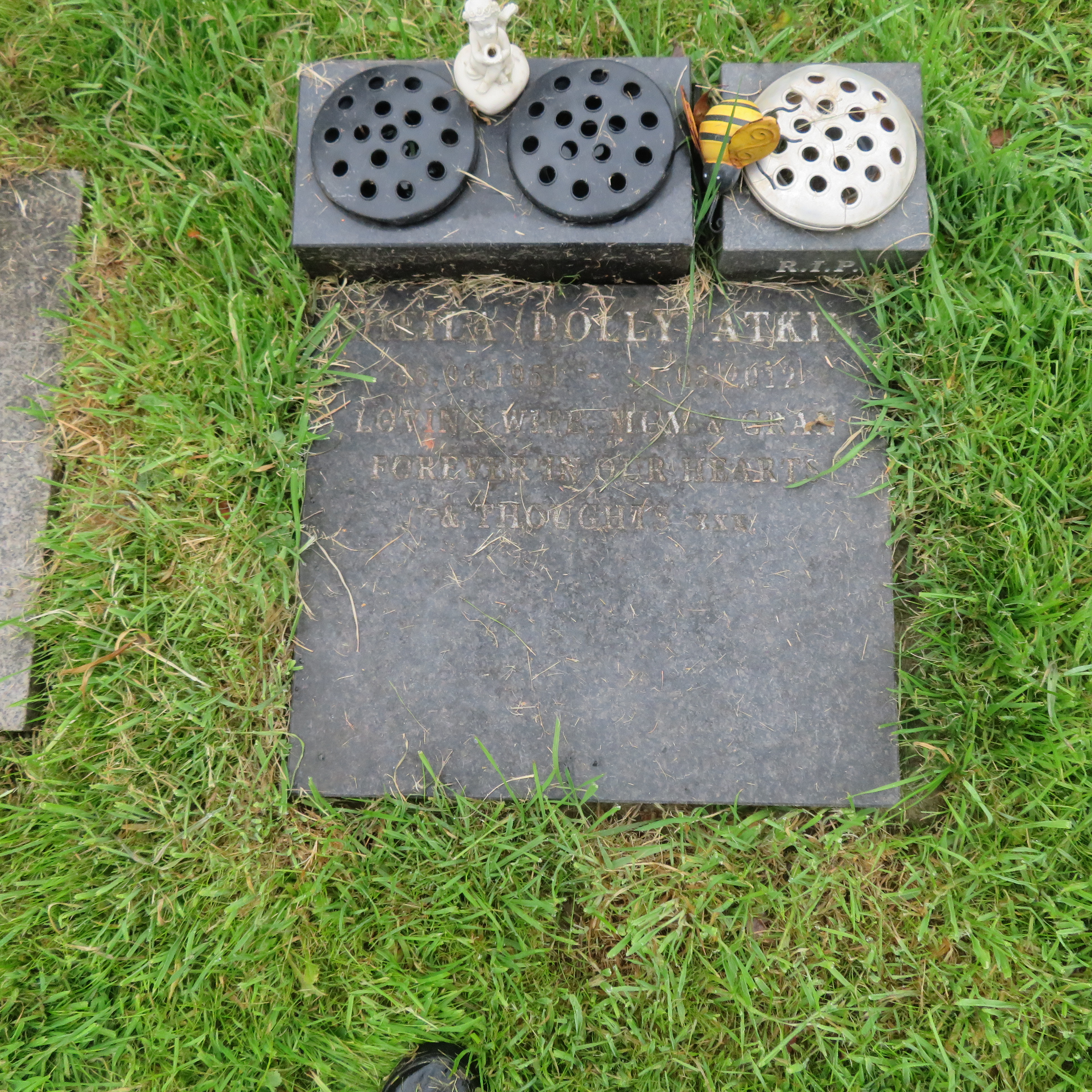 MSN-N.CN.DD14 1 Atkin