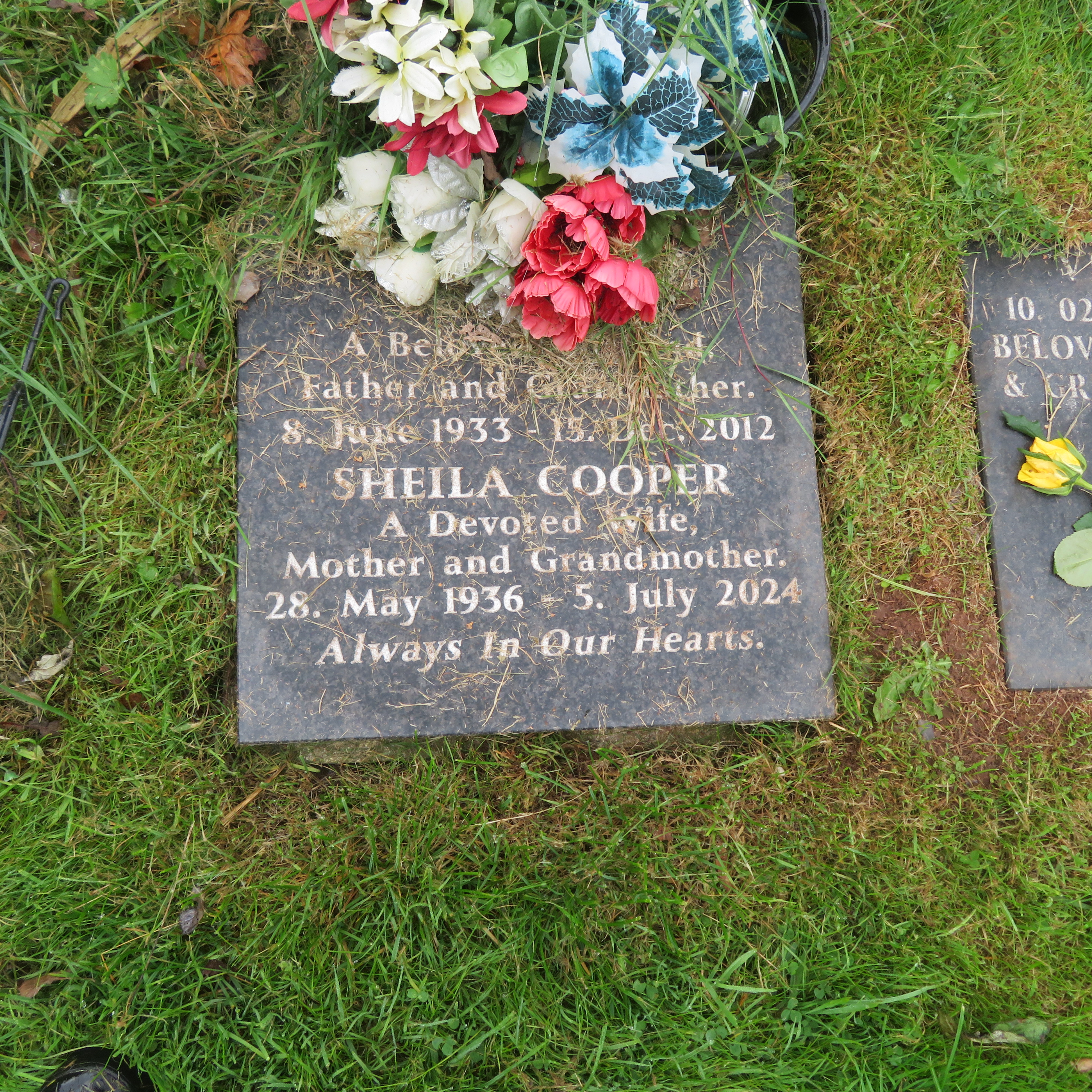 MSN-N.CN.DD18 1 Cooper