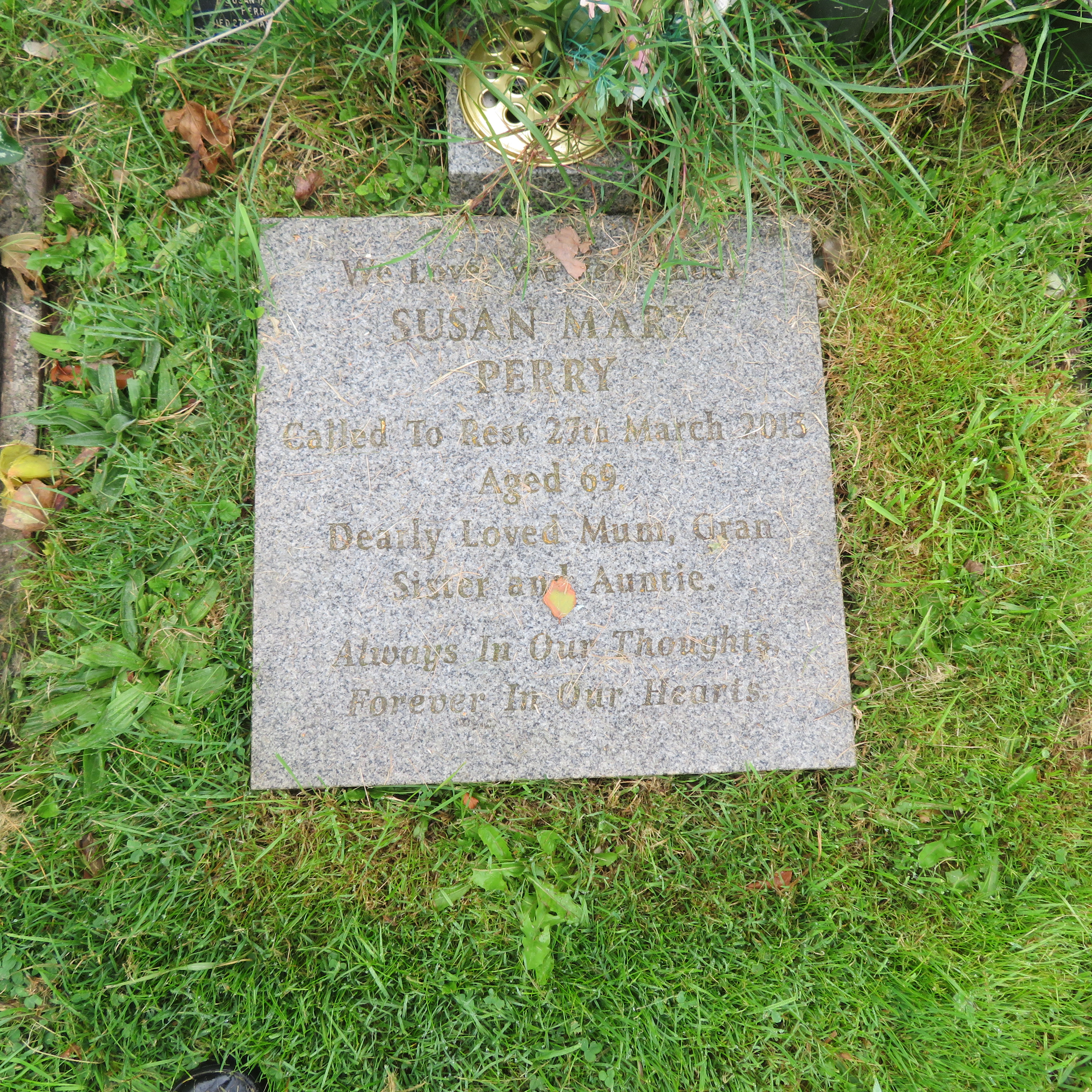 MSN-N.CN.DD21 1 Perry