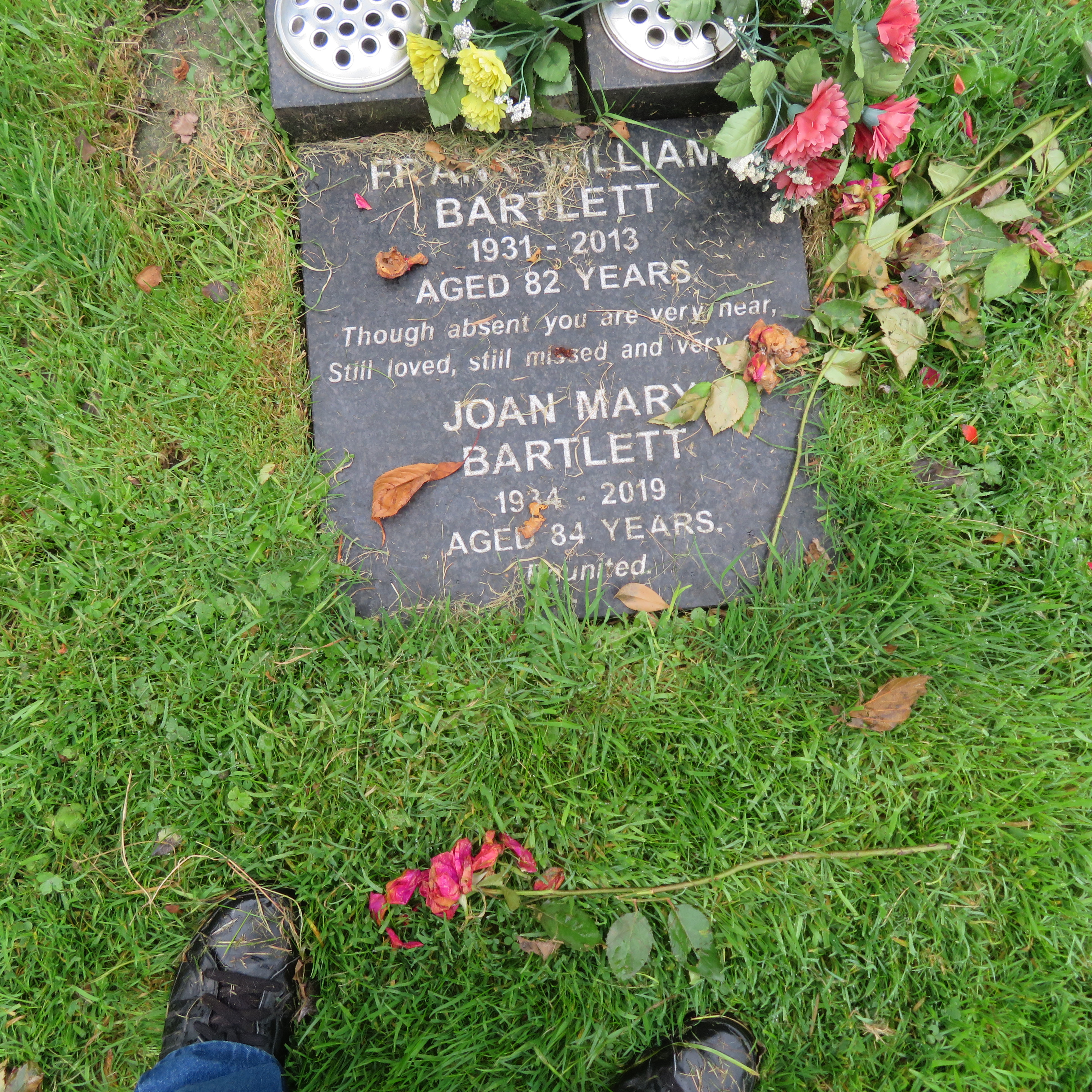 MSN-N.CN.DD25 1 Bartlett