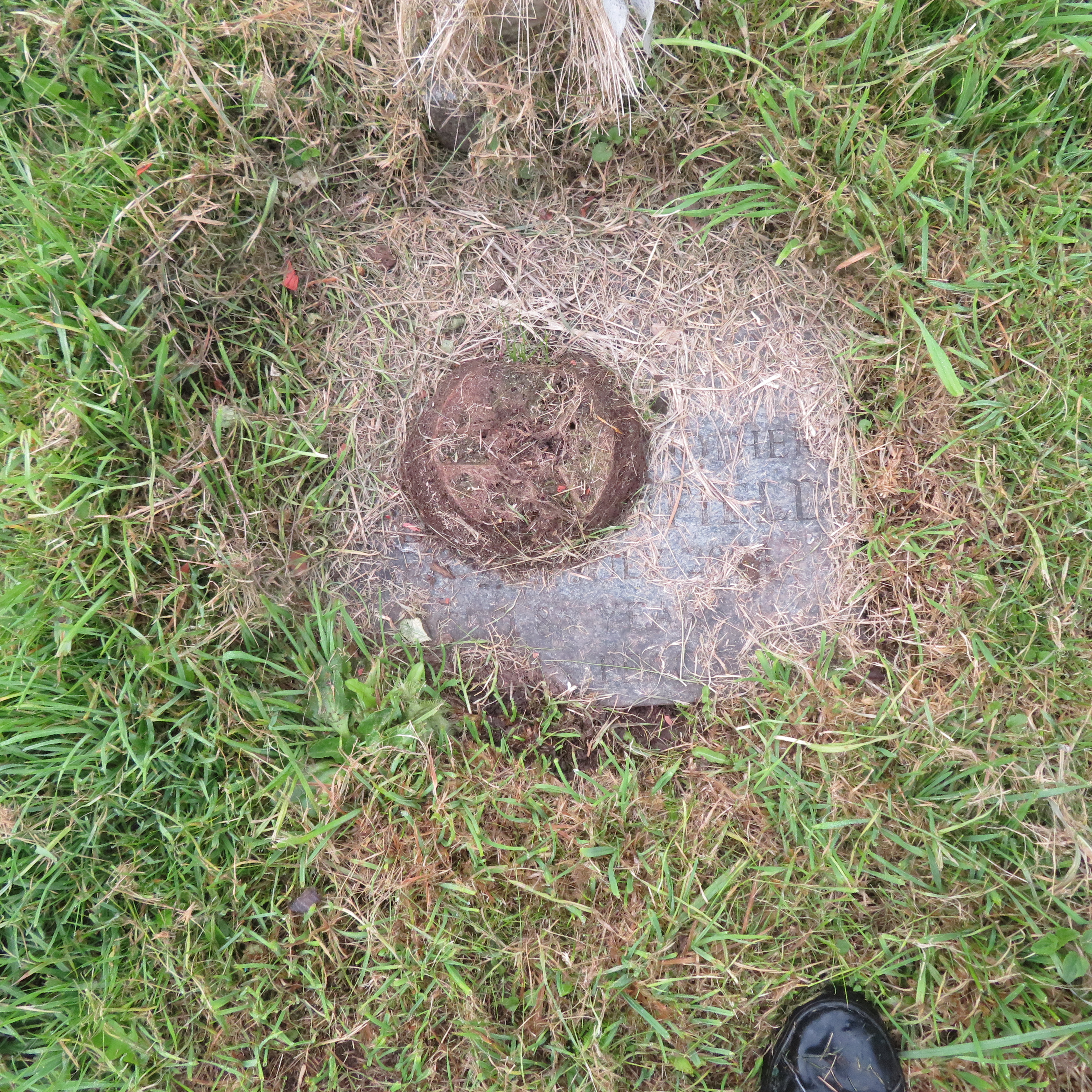 MSN-N.CN.E03 1 Banfield