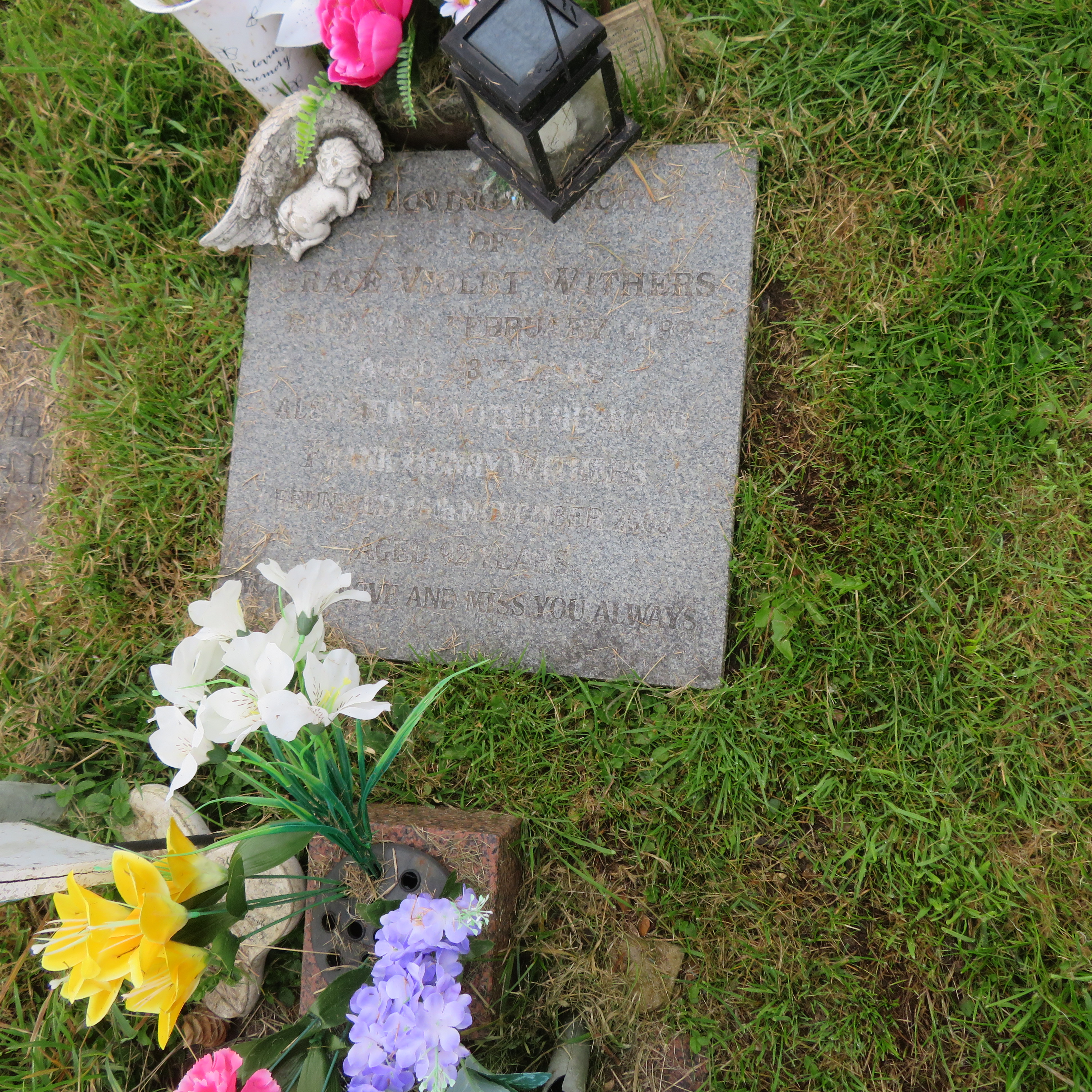 MSN-N.CN.E04 1 Withers