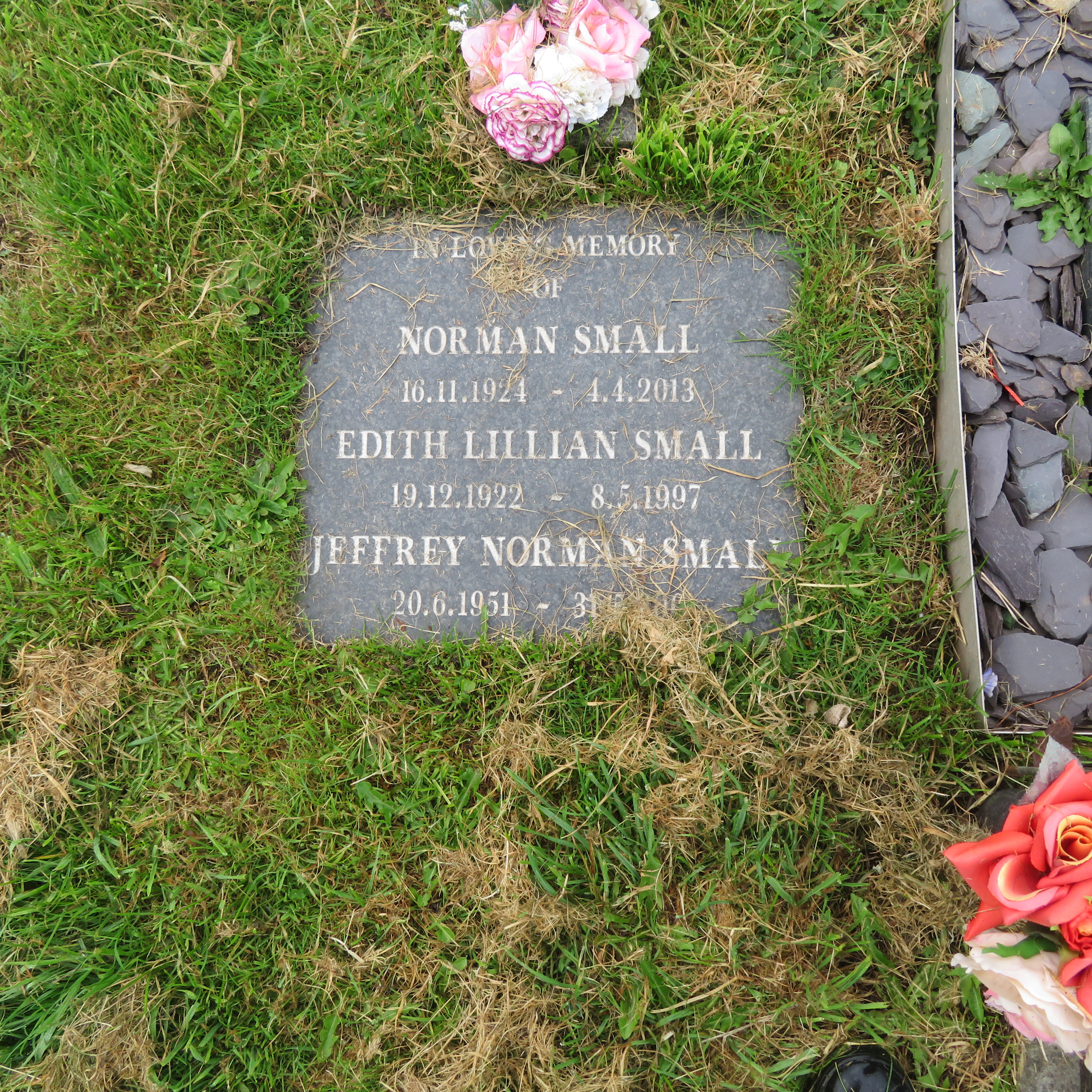 MSN-N.CN.E06 1 Small