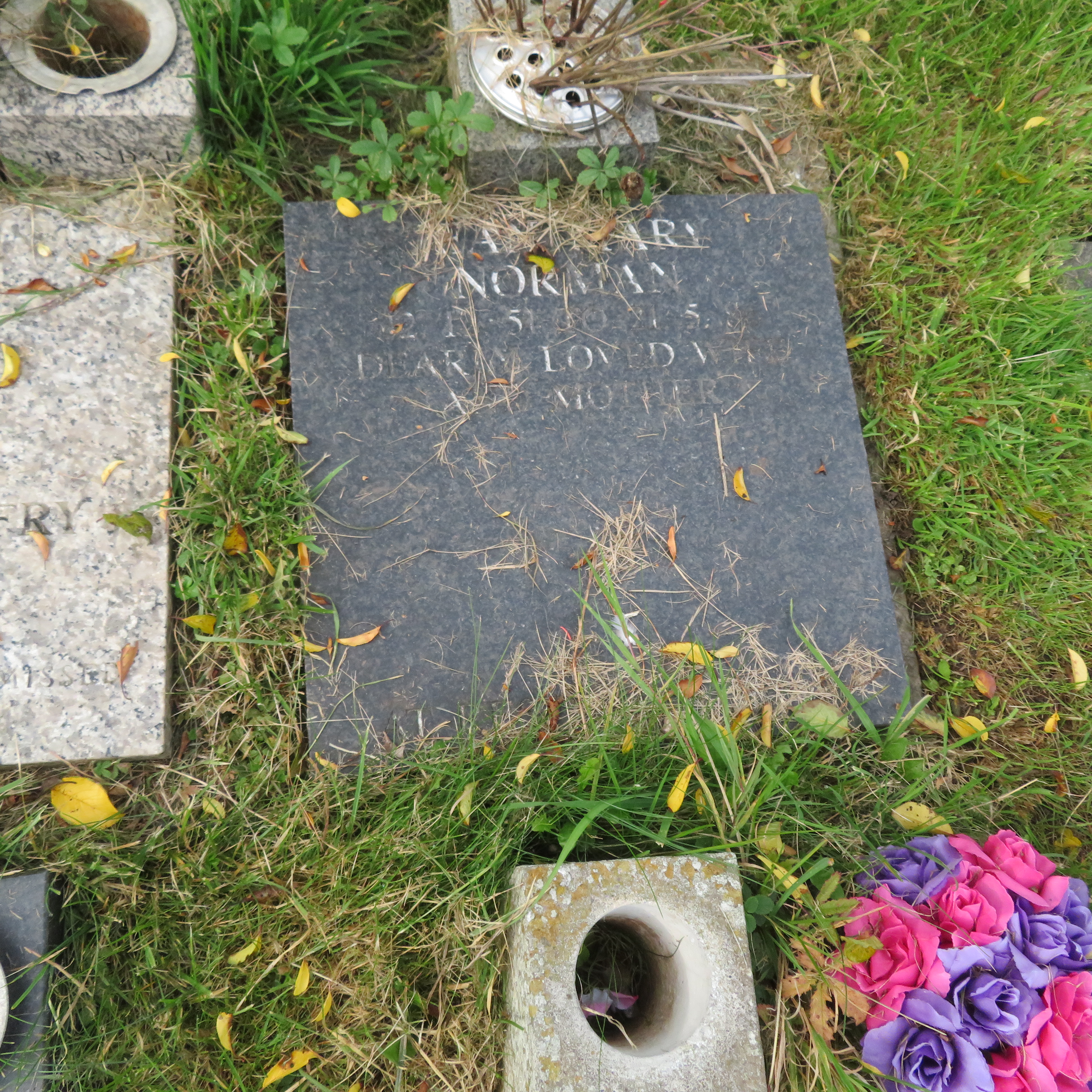 MSN-N.CN.F05 1 Norman