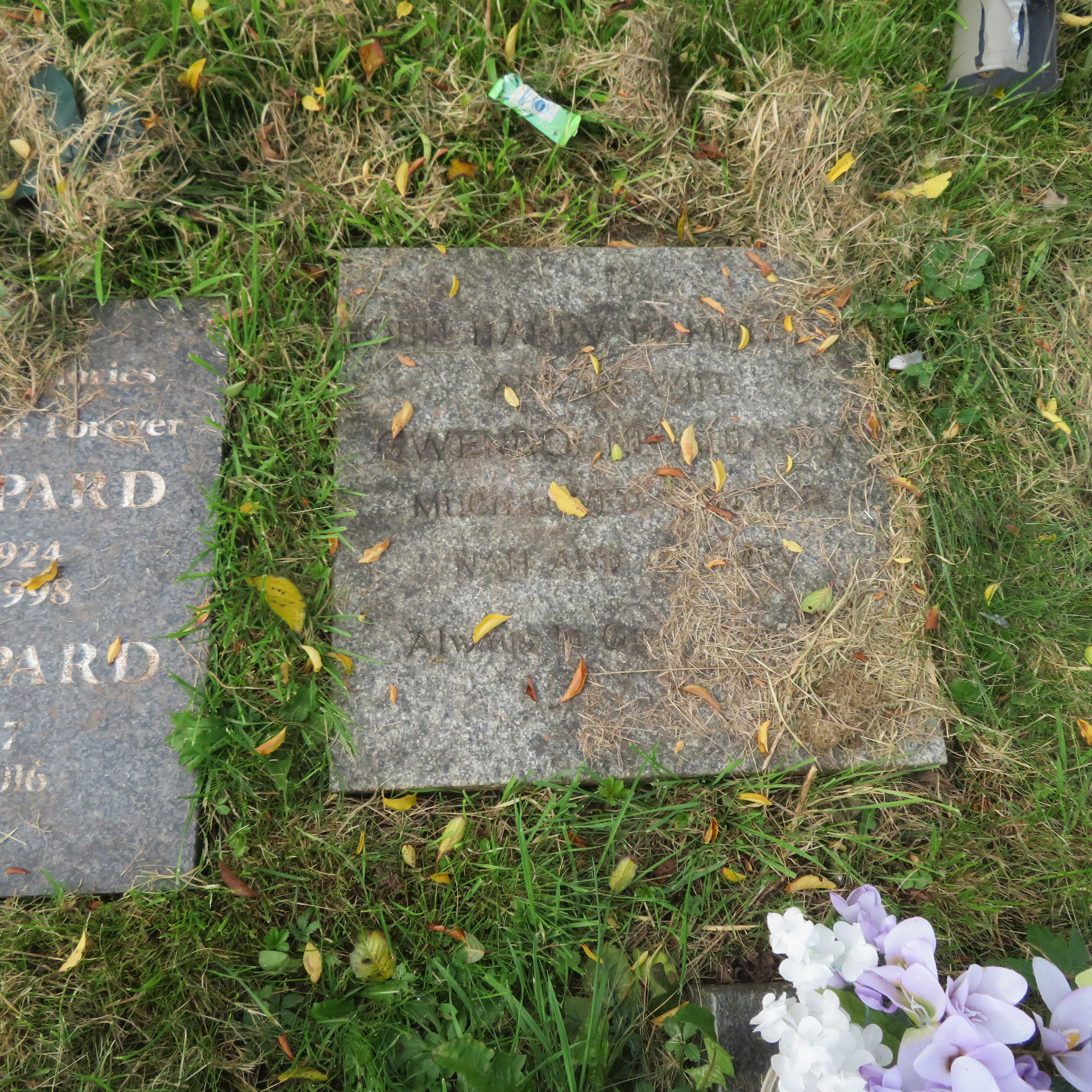 MSN-N.CN.F07 1 Hambleton