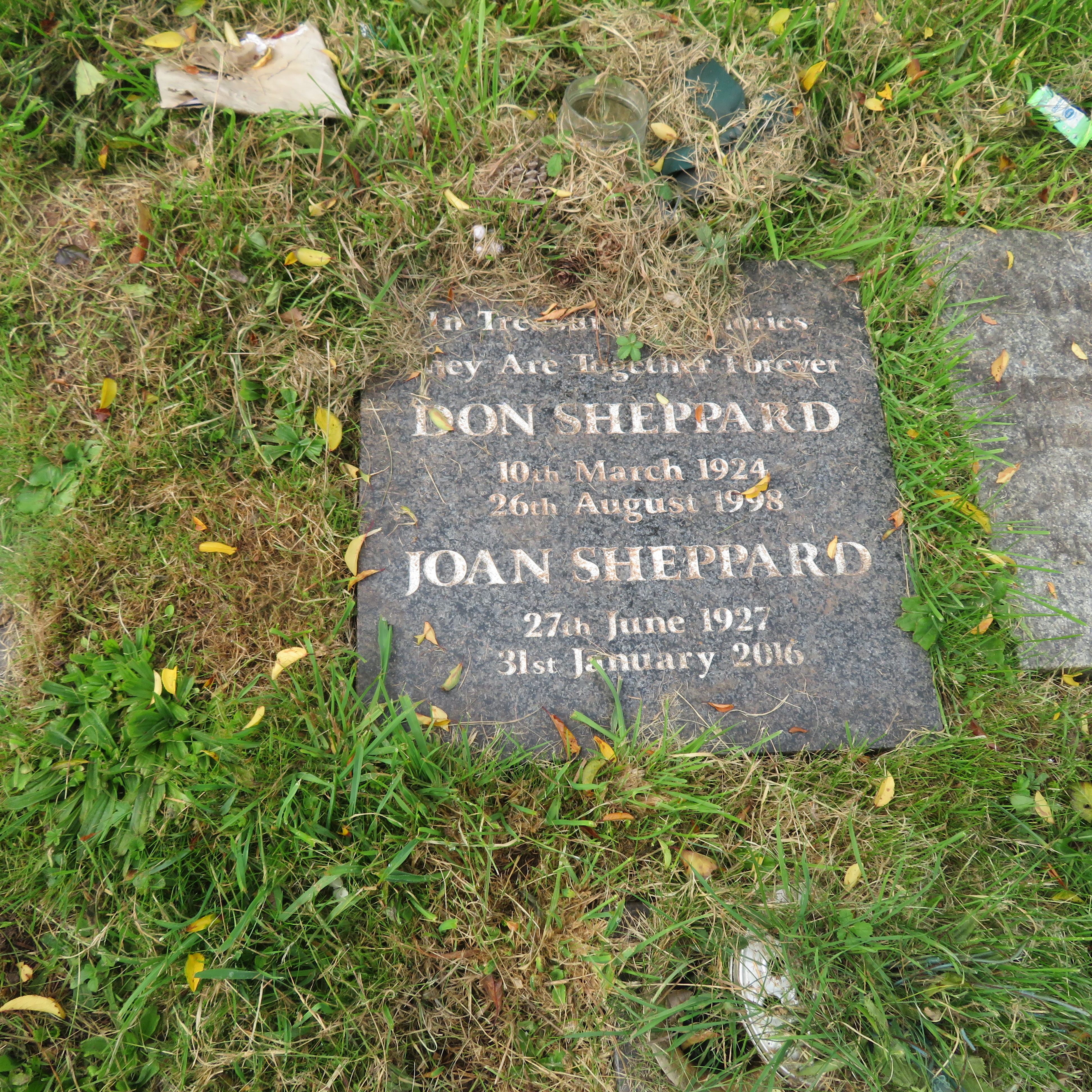 MSN-N.CN.F08 1 Sheppard