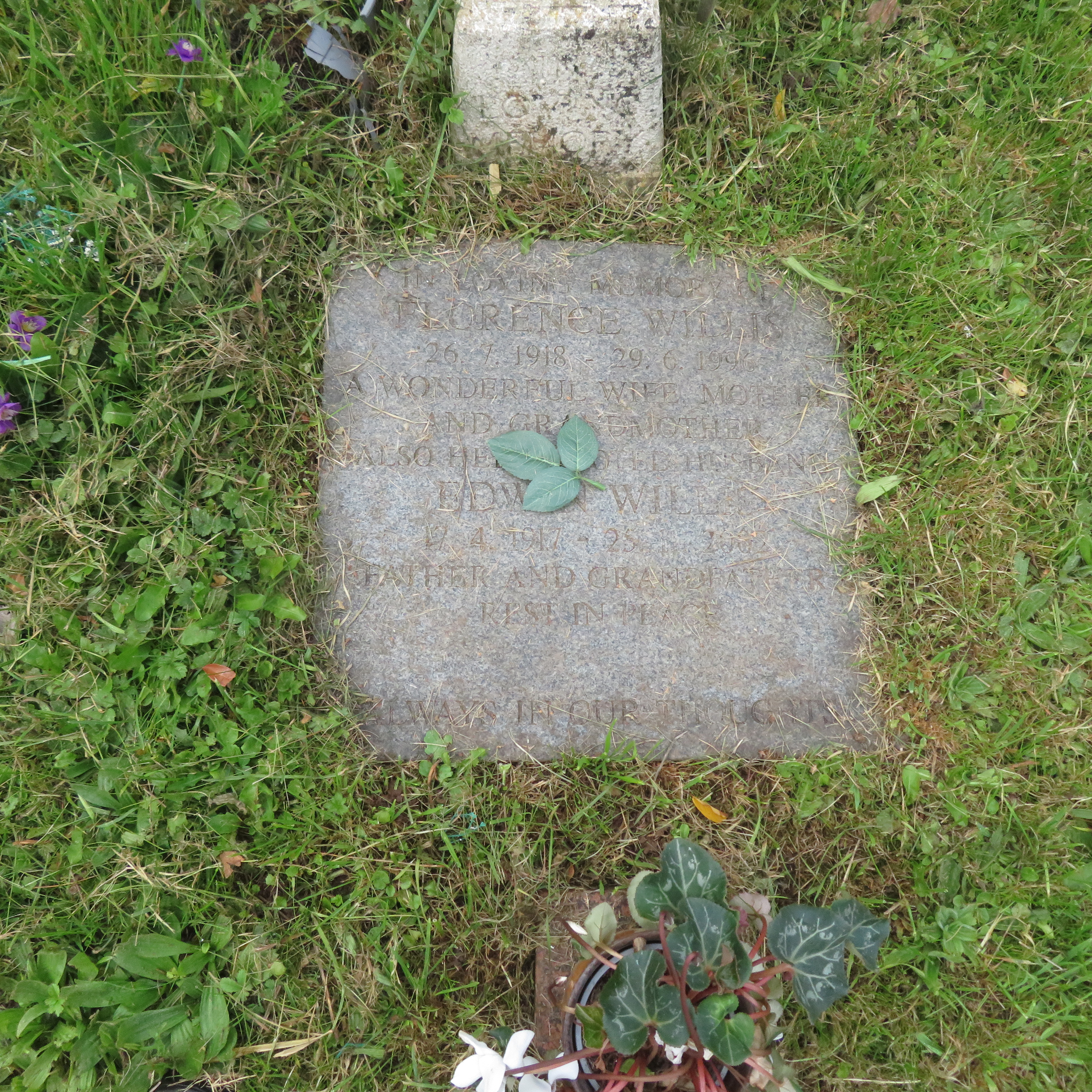 MSN-N.CN.F11 1 Willis